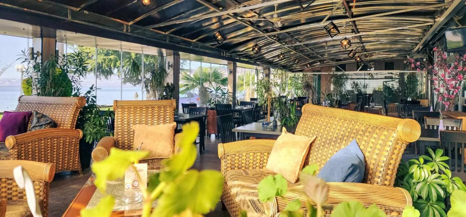 Restaurant/places to eat in Royal View Hotel and SPA