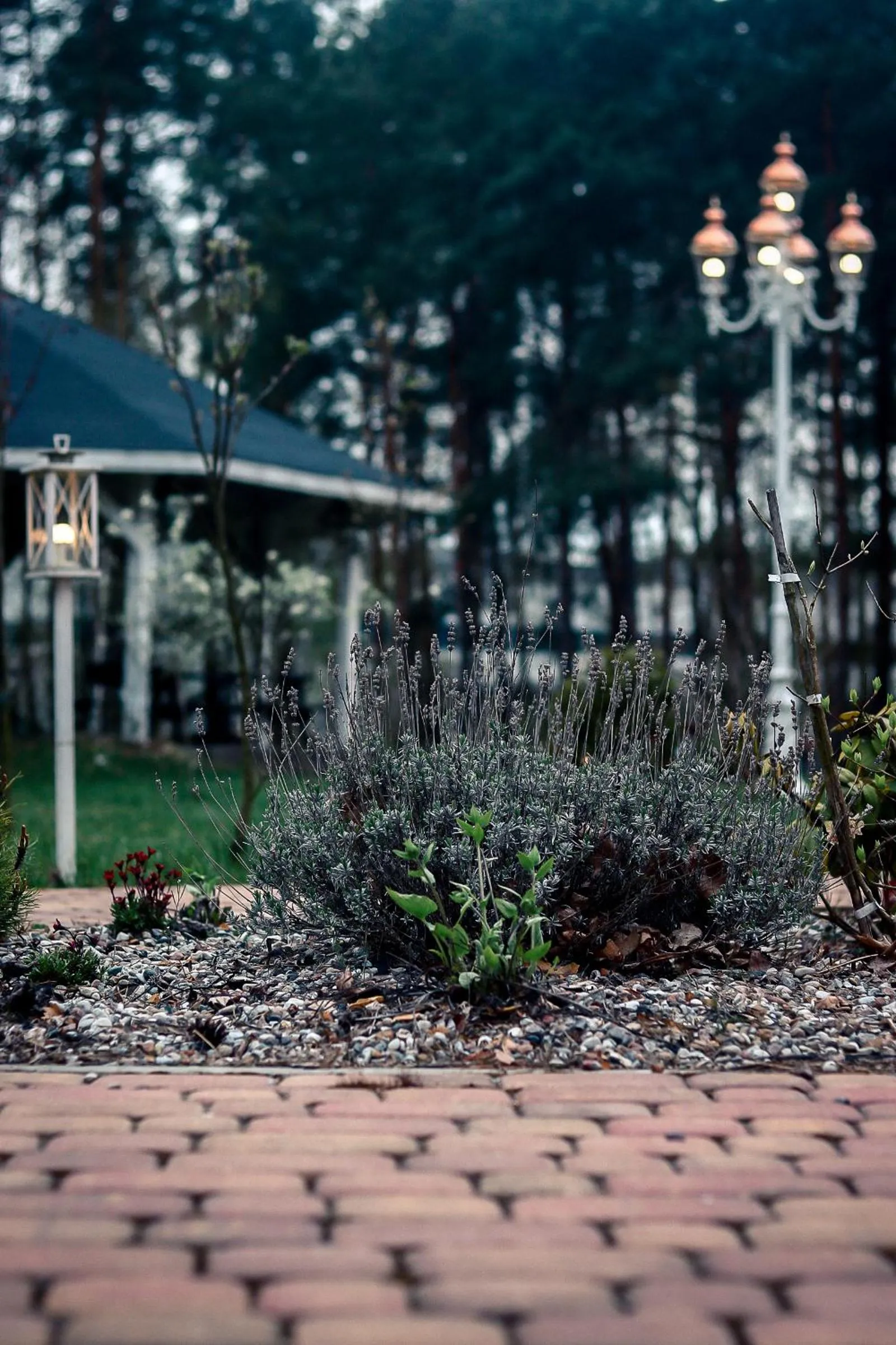 Garden in Hotel Best Inn Bydgoszcz S5