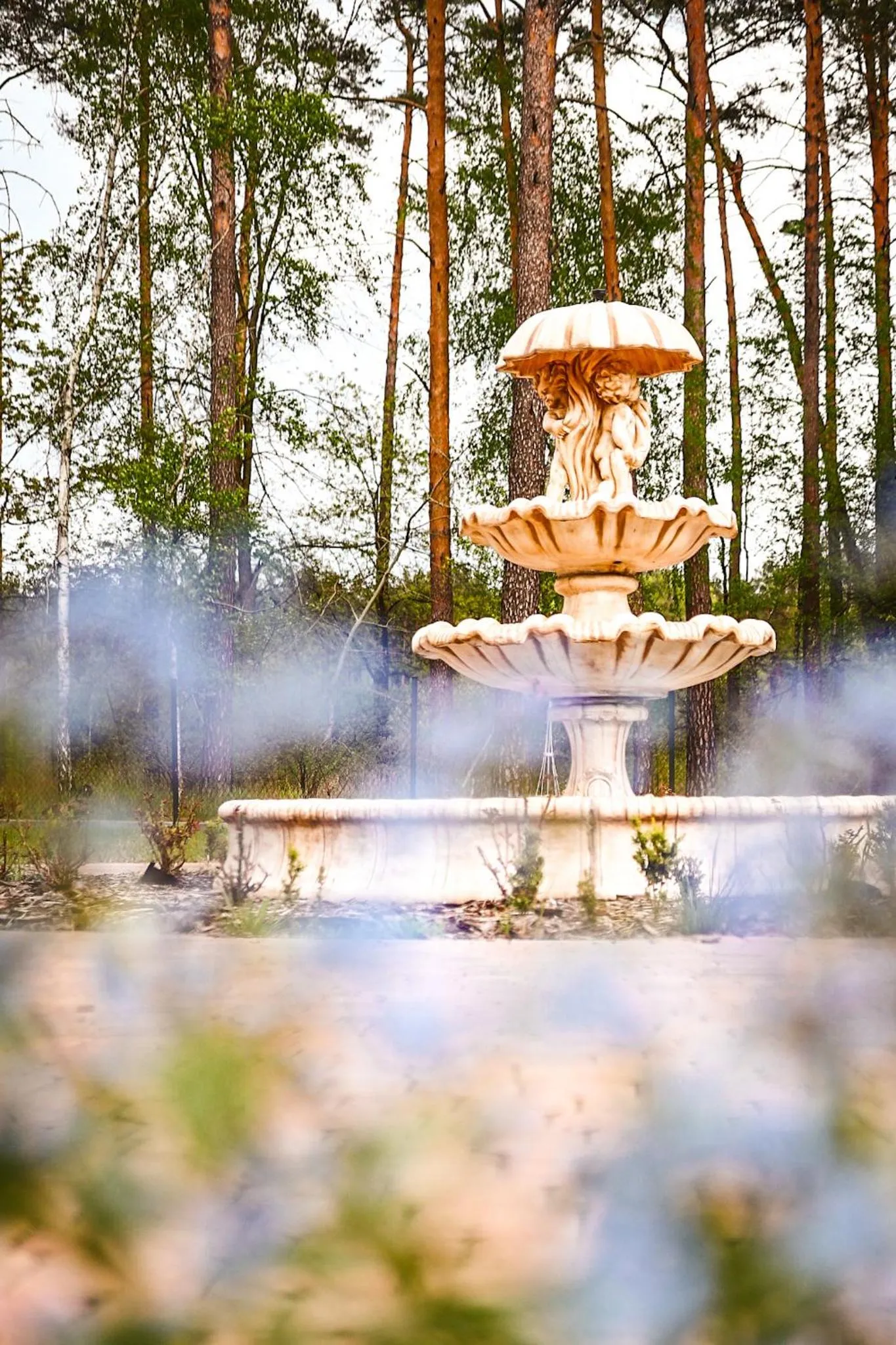 Garden in Hotel Best Inn Bydgoszcz S5