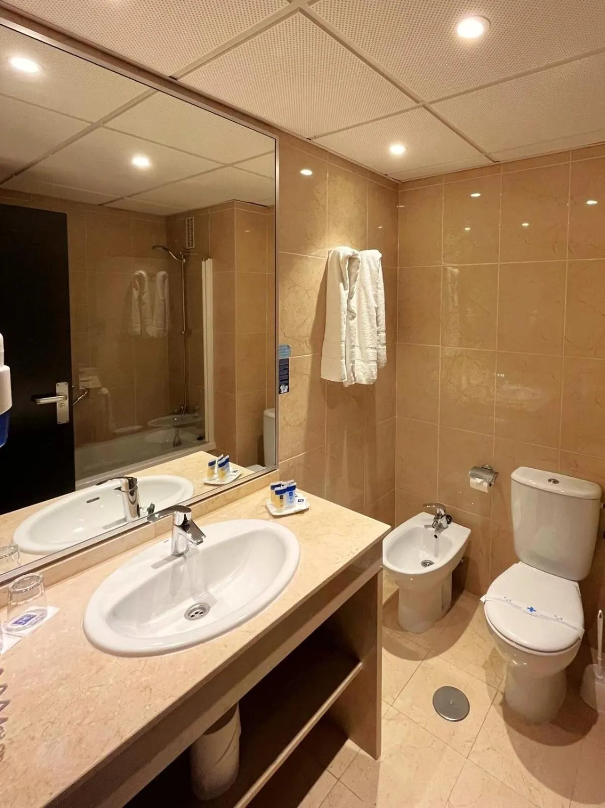 Toilet in Fuengirola Beach Apartamentos Turísticos