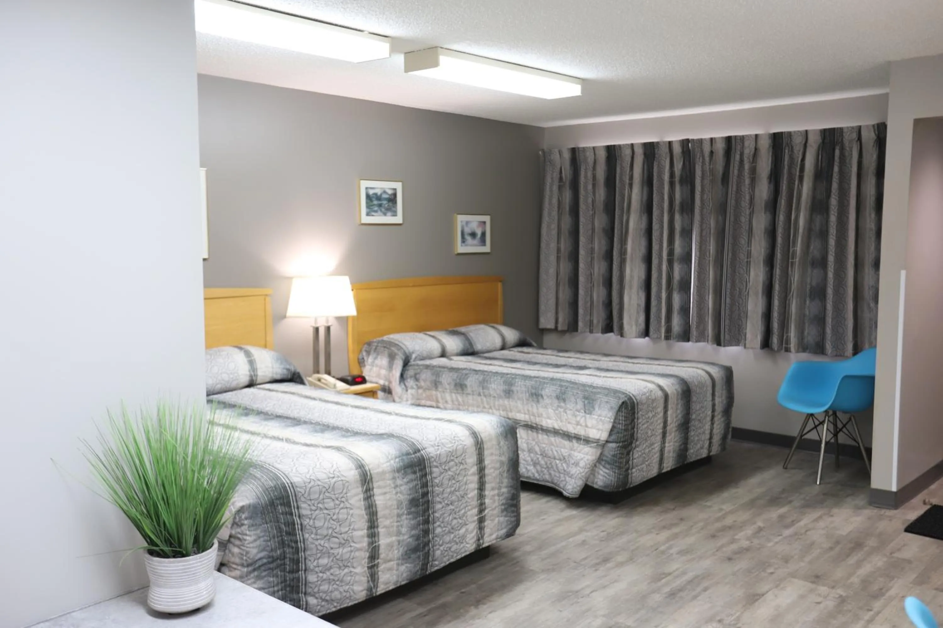 Bedroom, Bed in Stanford Inn & Suites