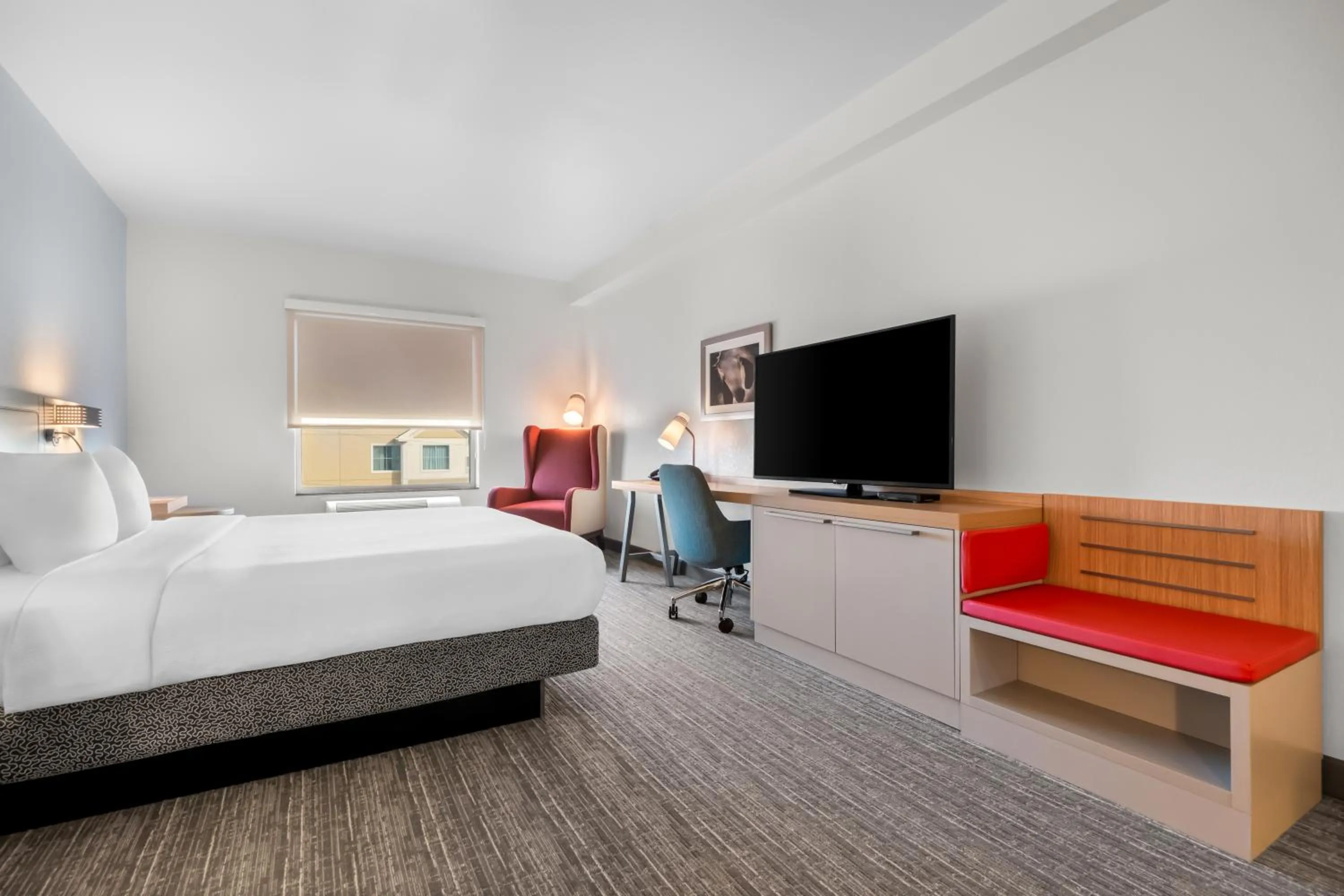 TV and multimedia, Bed in Hilton Garden Inn Amarillo