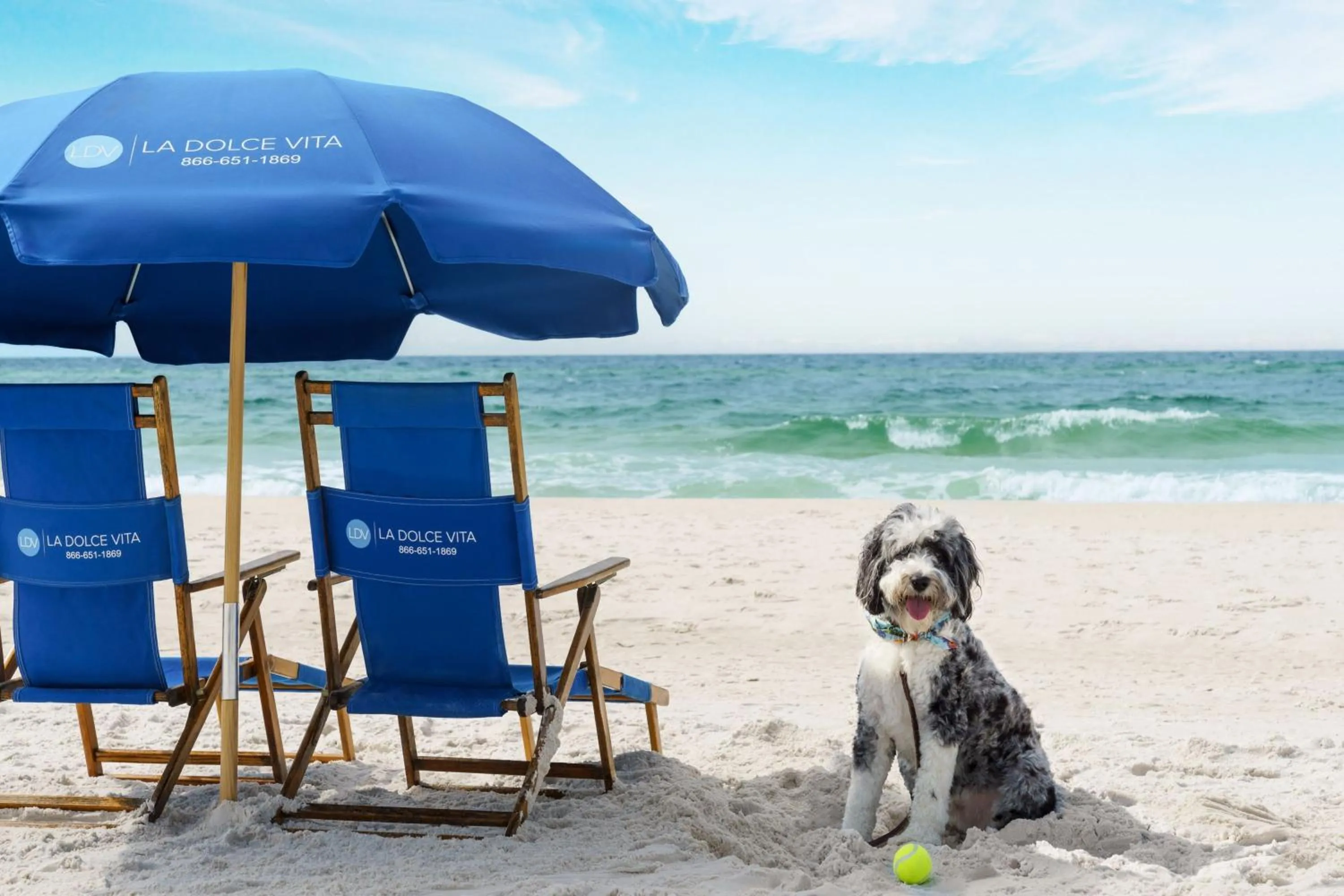 Beach in Four Points by Sheraton Destin - Fort Walton Beach