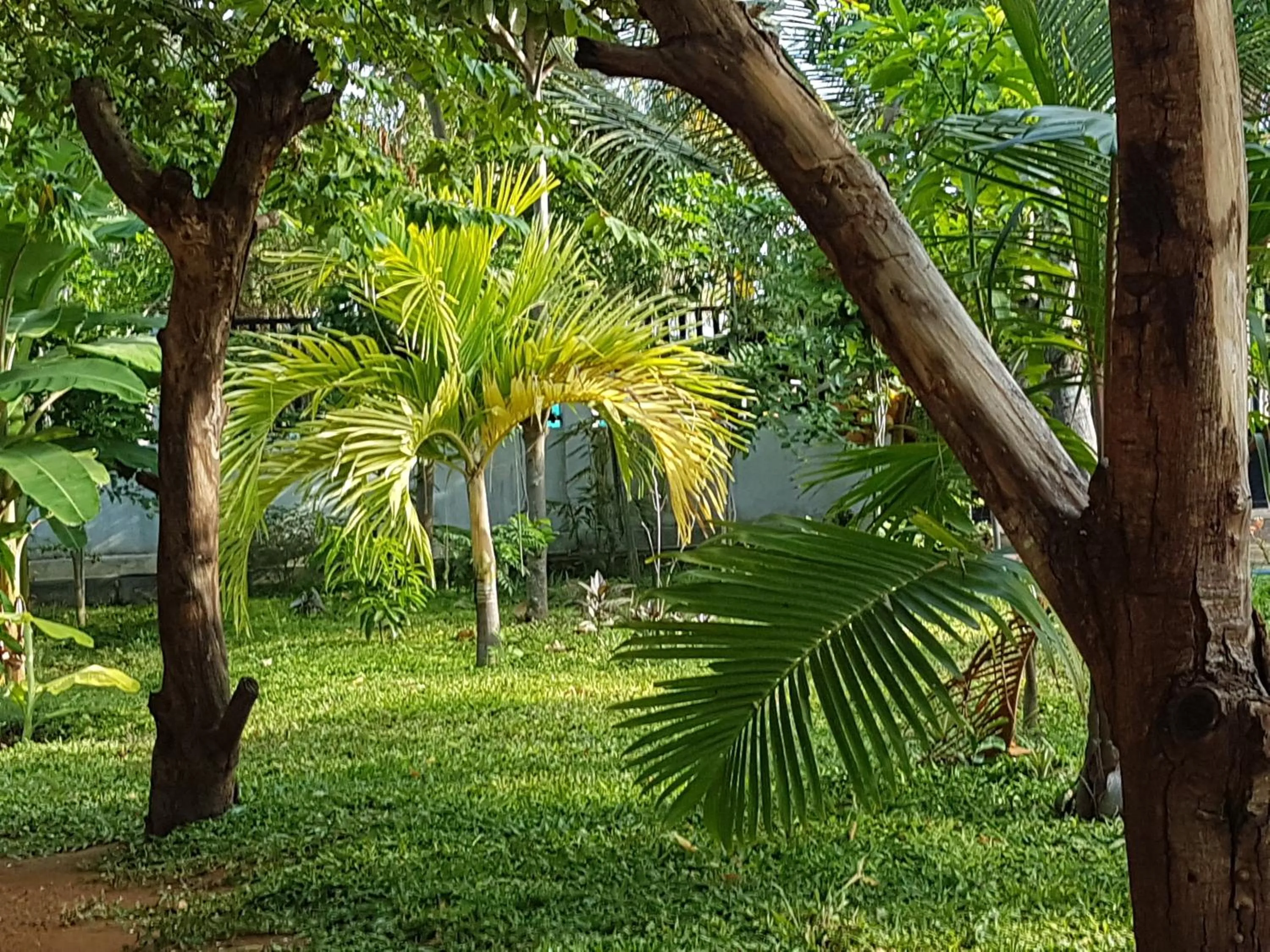 Garden in Luna Beach Hotel