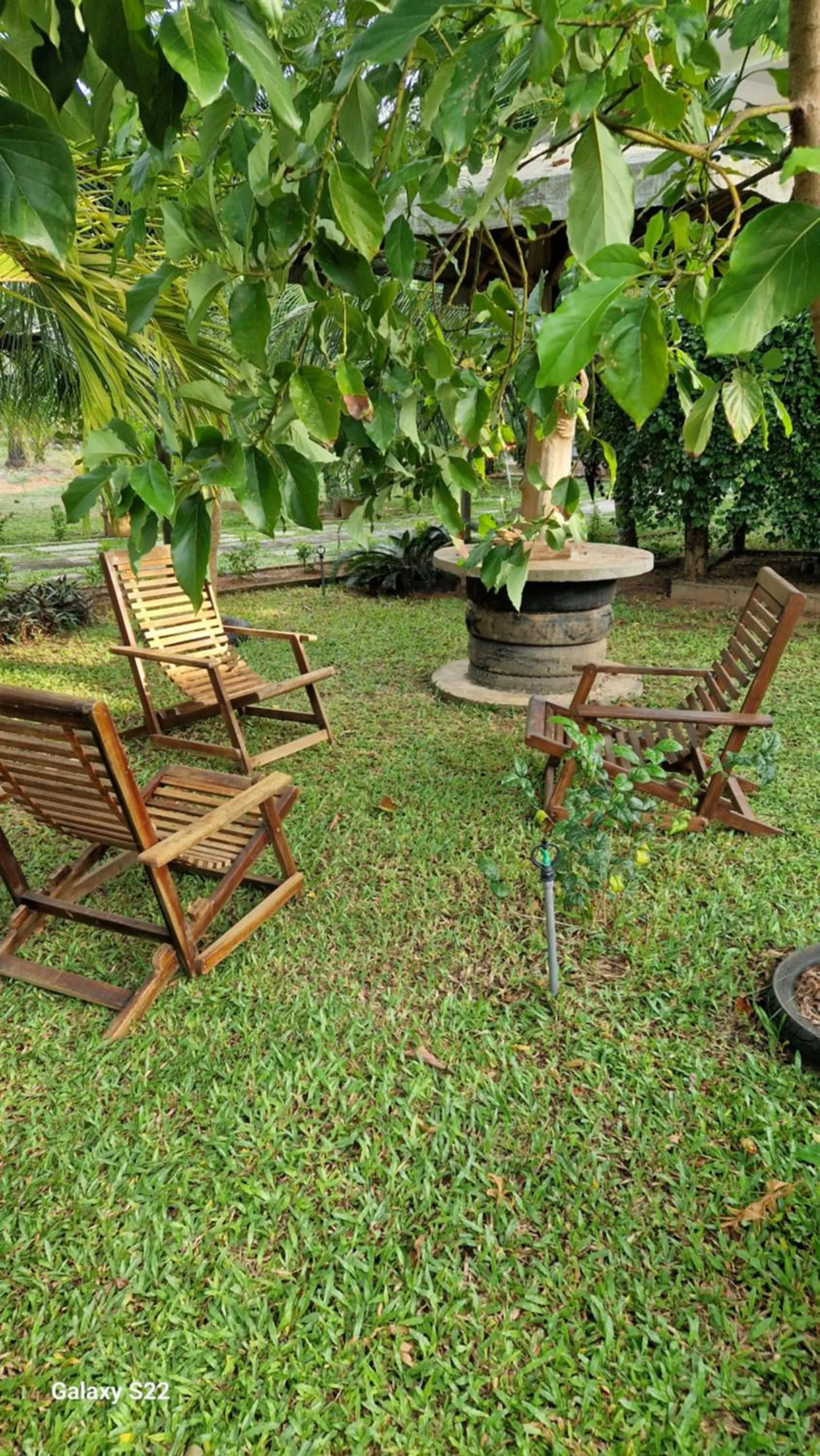 Luna Beach Hotel