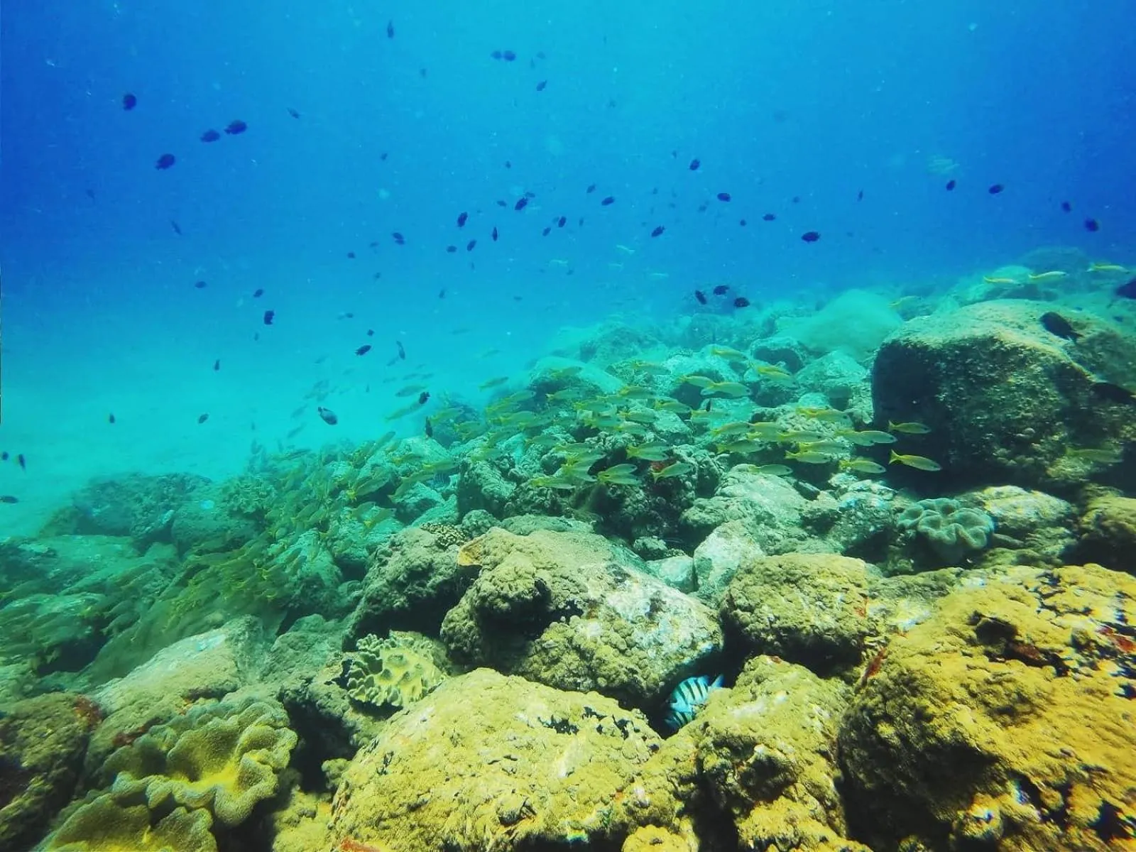 Diving in Luna Beach Hotel