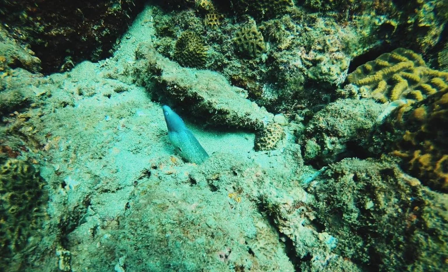 Diving in Luna Beach Hotel