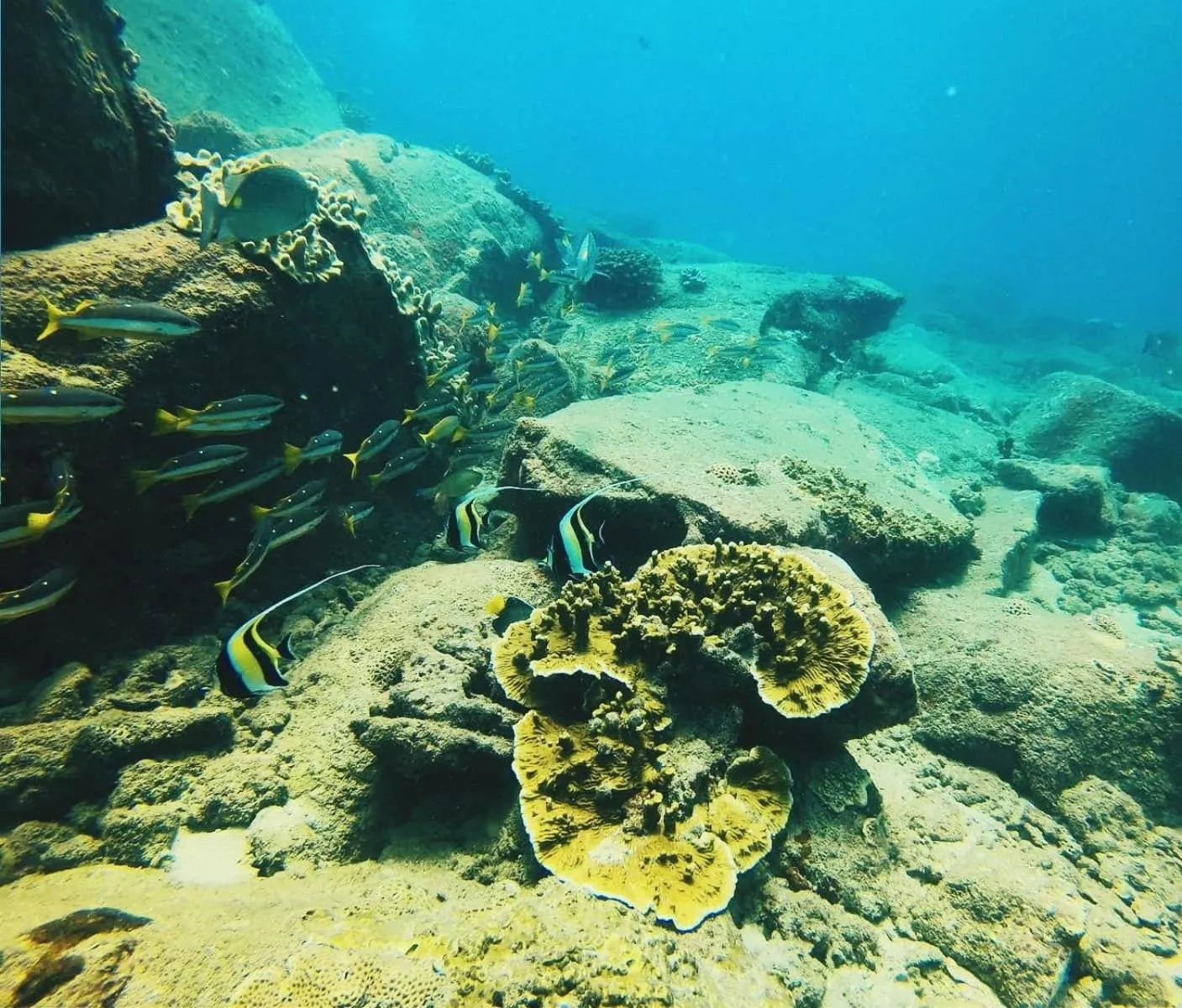 Diving in Luna Beach Hotel