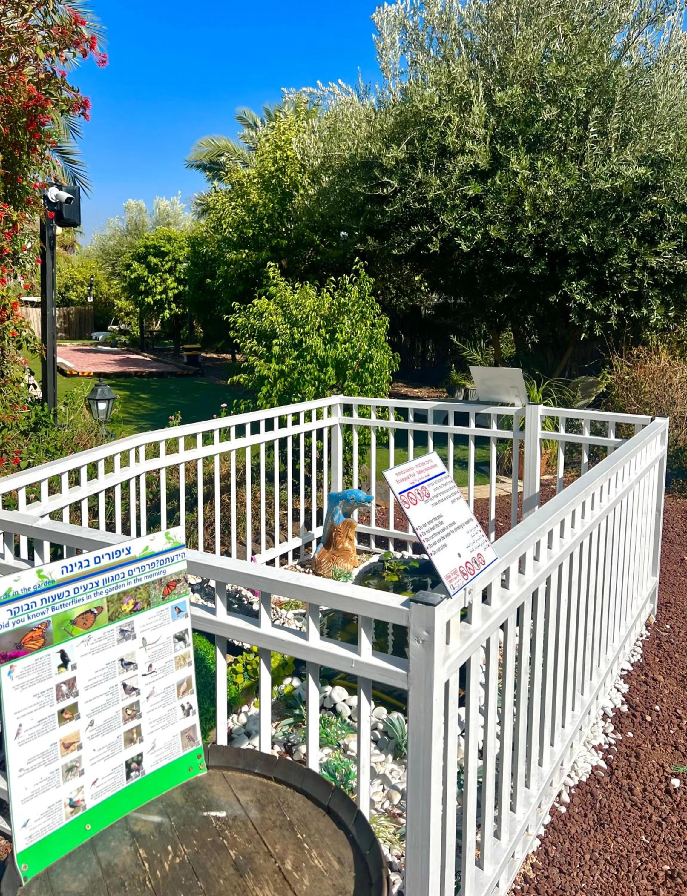 Magical in the Galilee