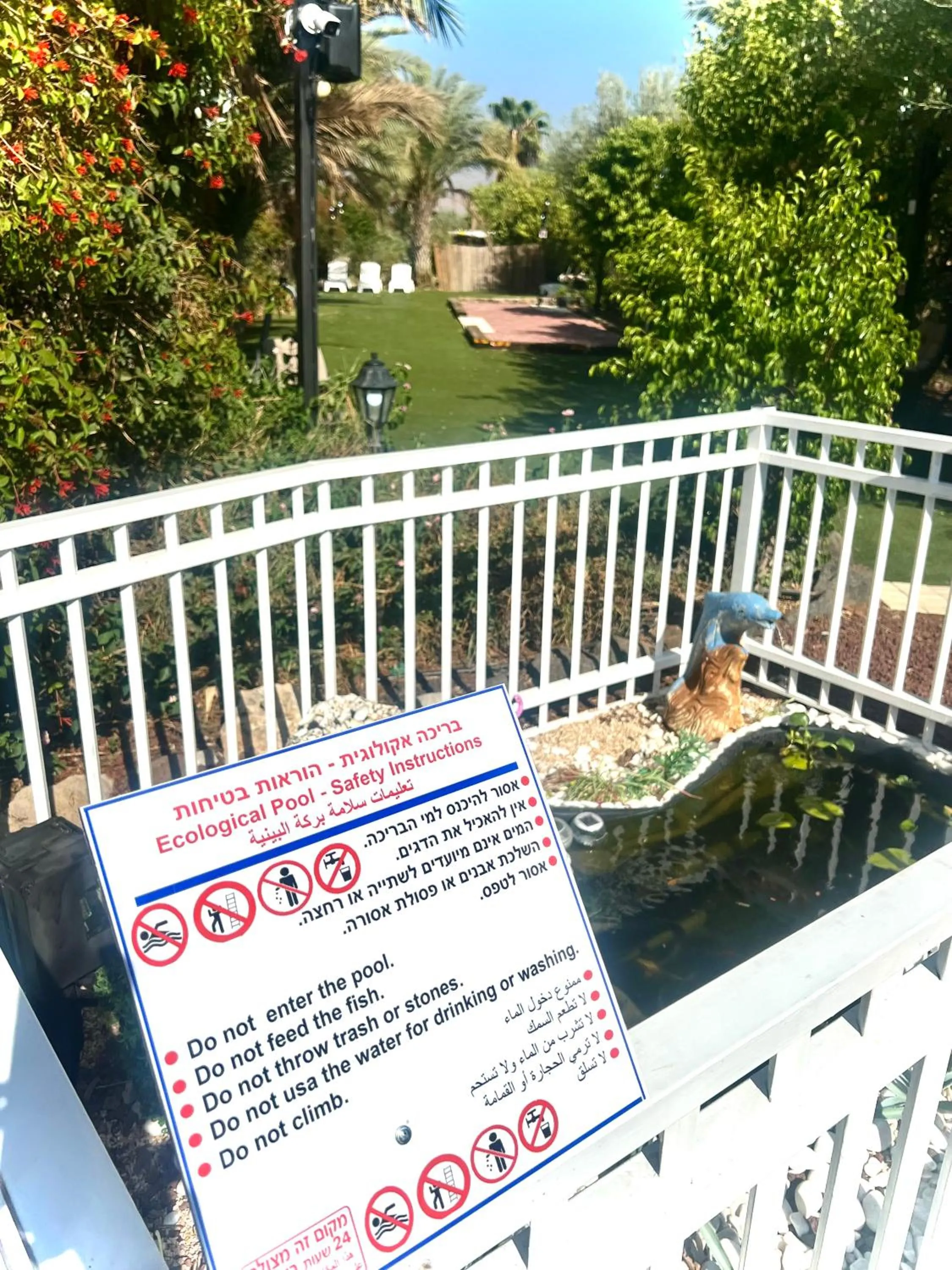 Magical in the Galilee