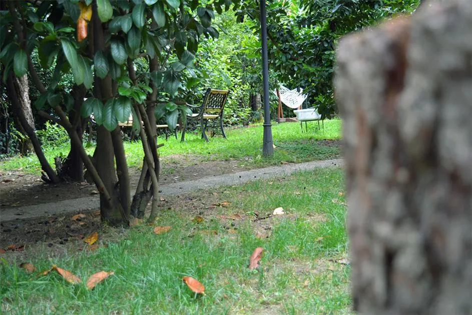 Garden in Butik Hotel Maşukiye
