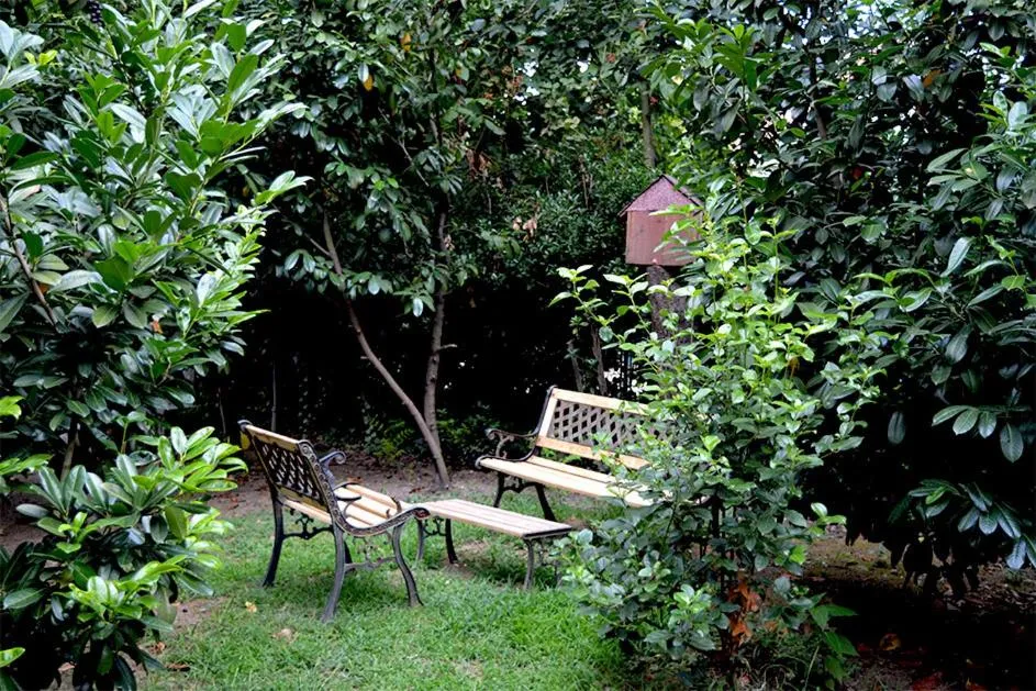 Garden in Butik Hotel Maşukiye
