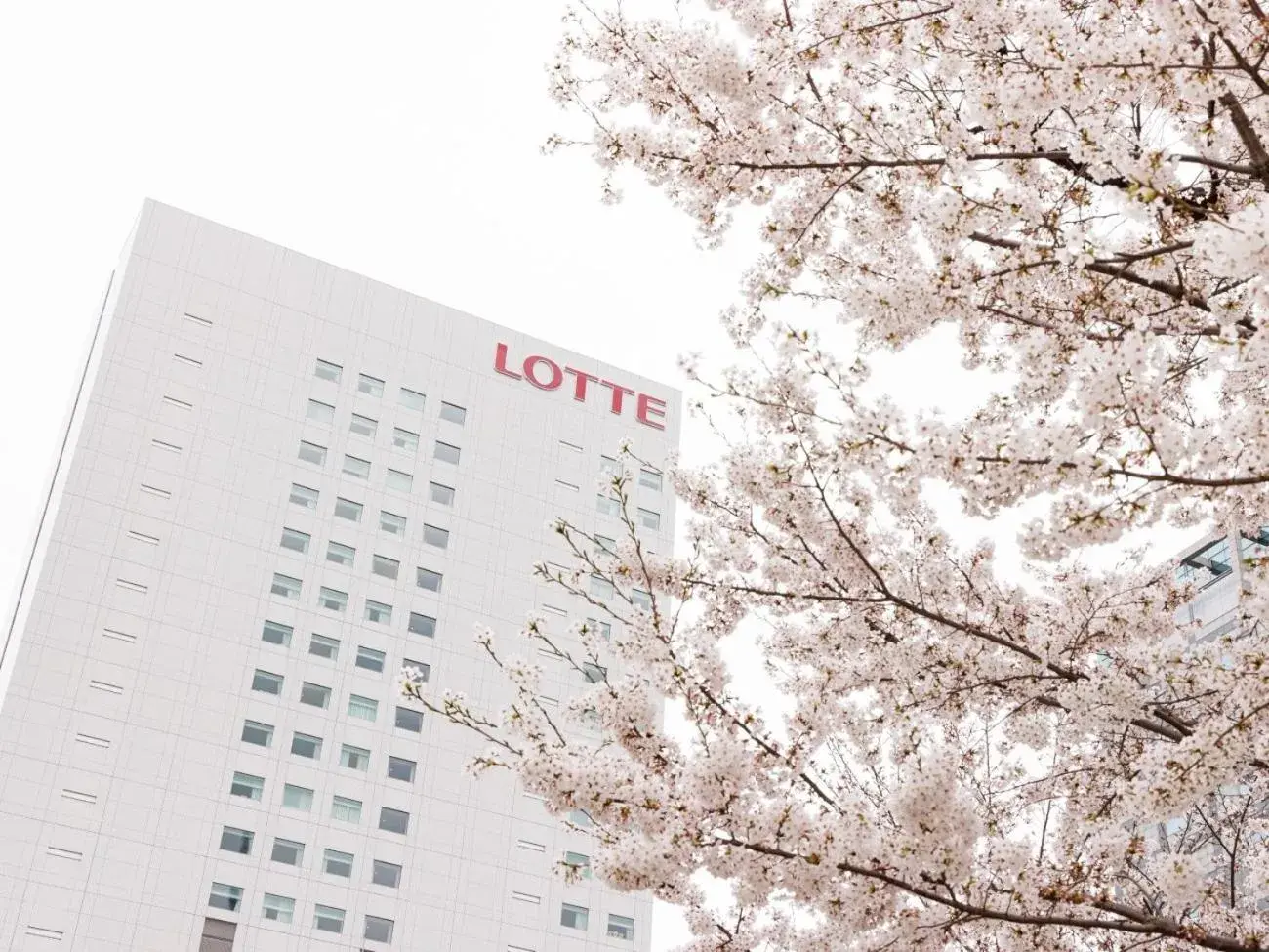 Property building in Lotte City Hotel Kinshicho Property building in Lotte City Hotel Kinshicho