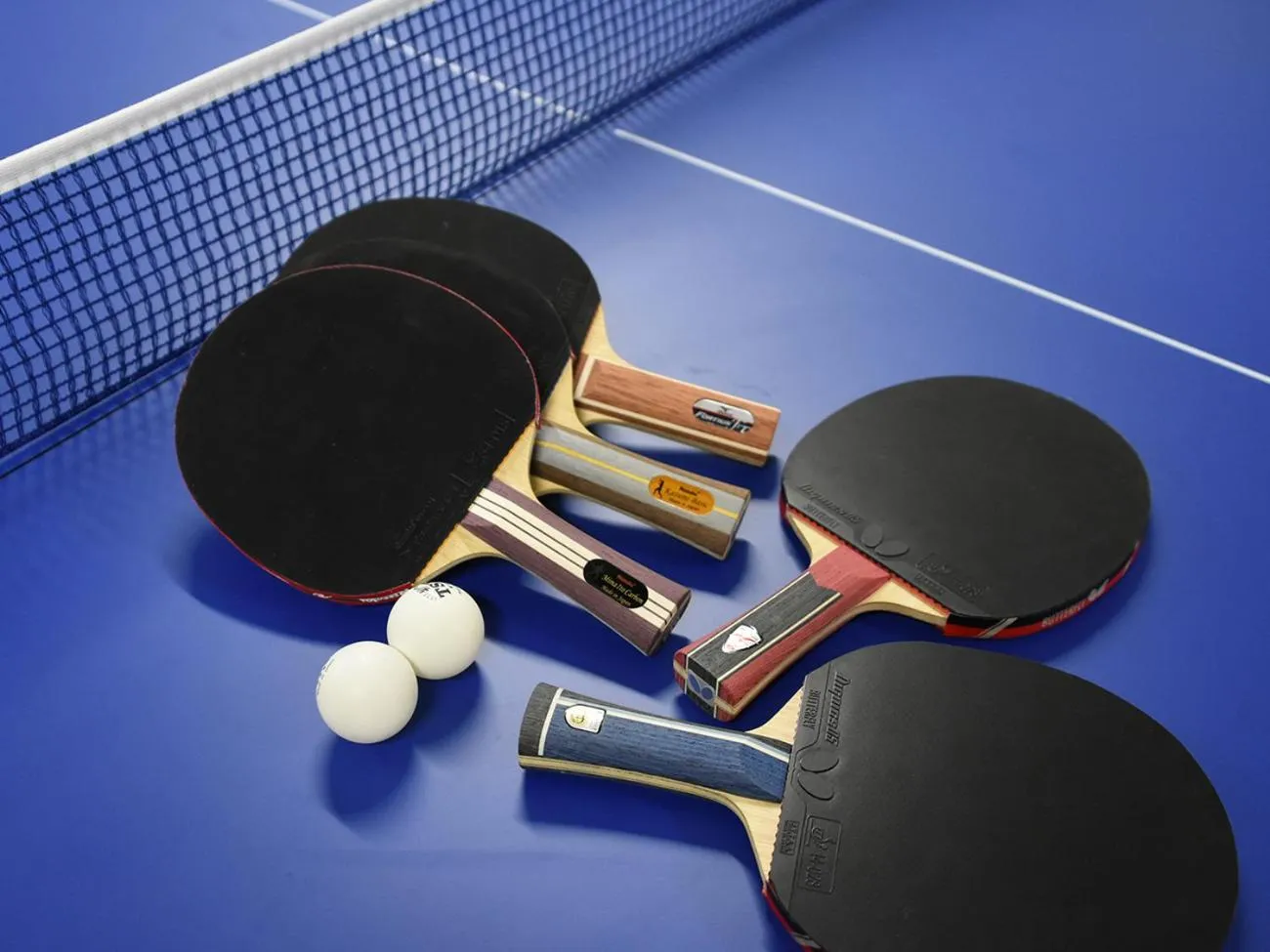 Activities in Shima Kanko Hotel The Bay Suites