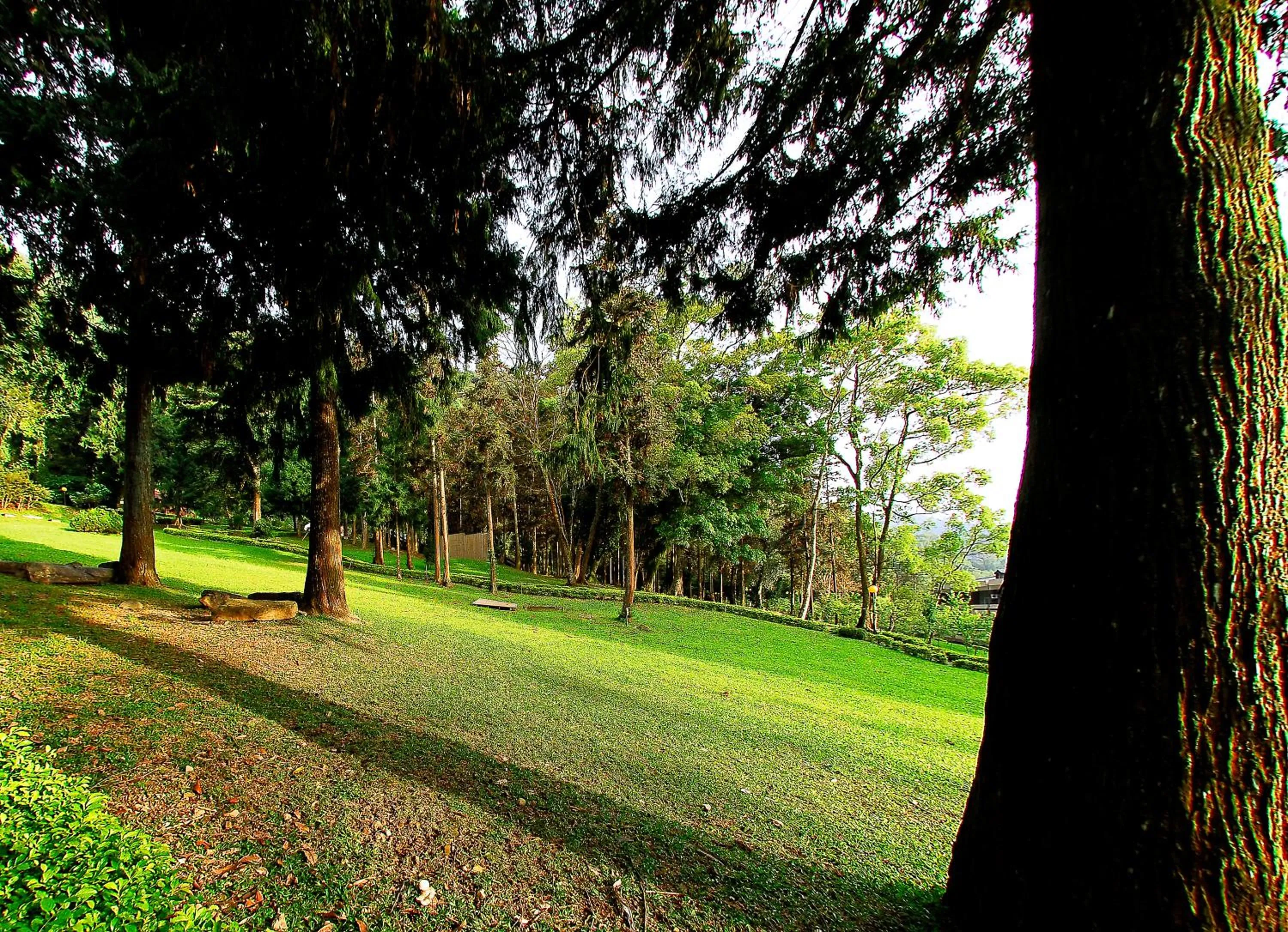 Activities in Sun Moon Lake Youth Hostel