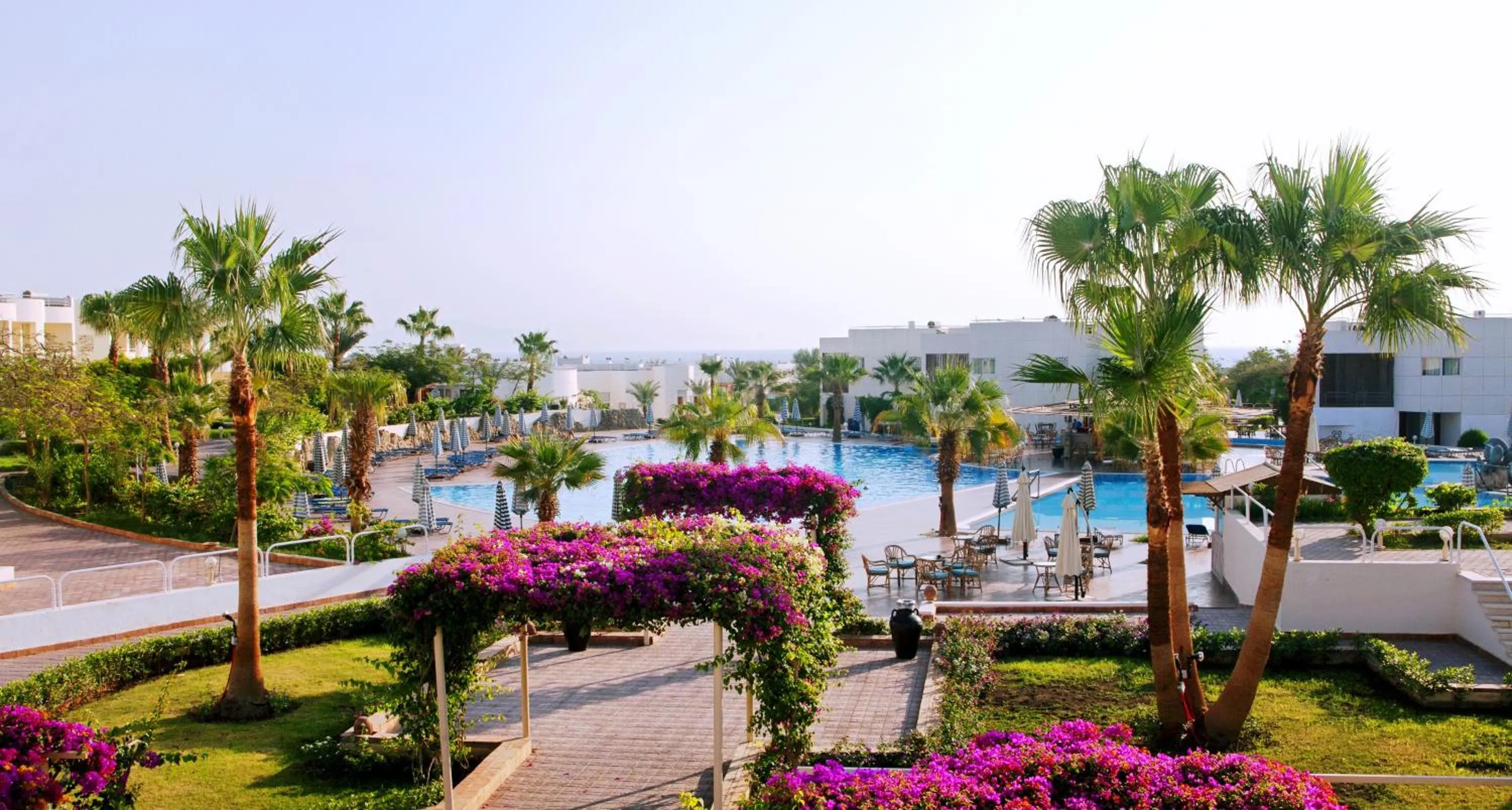 Swimming pool in Sharm Reef Hotel