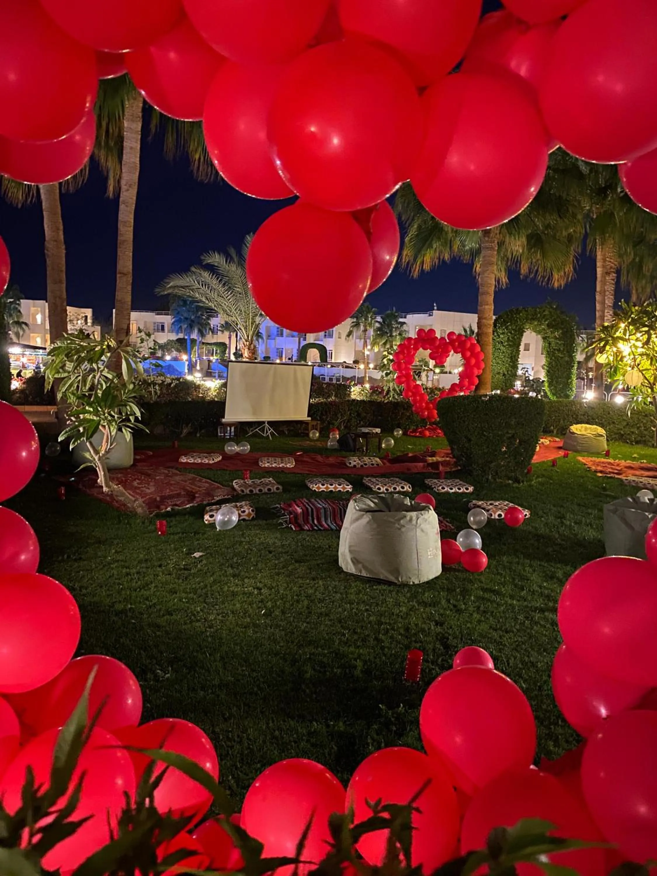 Night in Sharm Reef Hotel