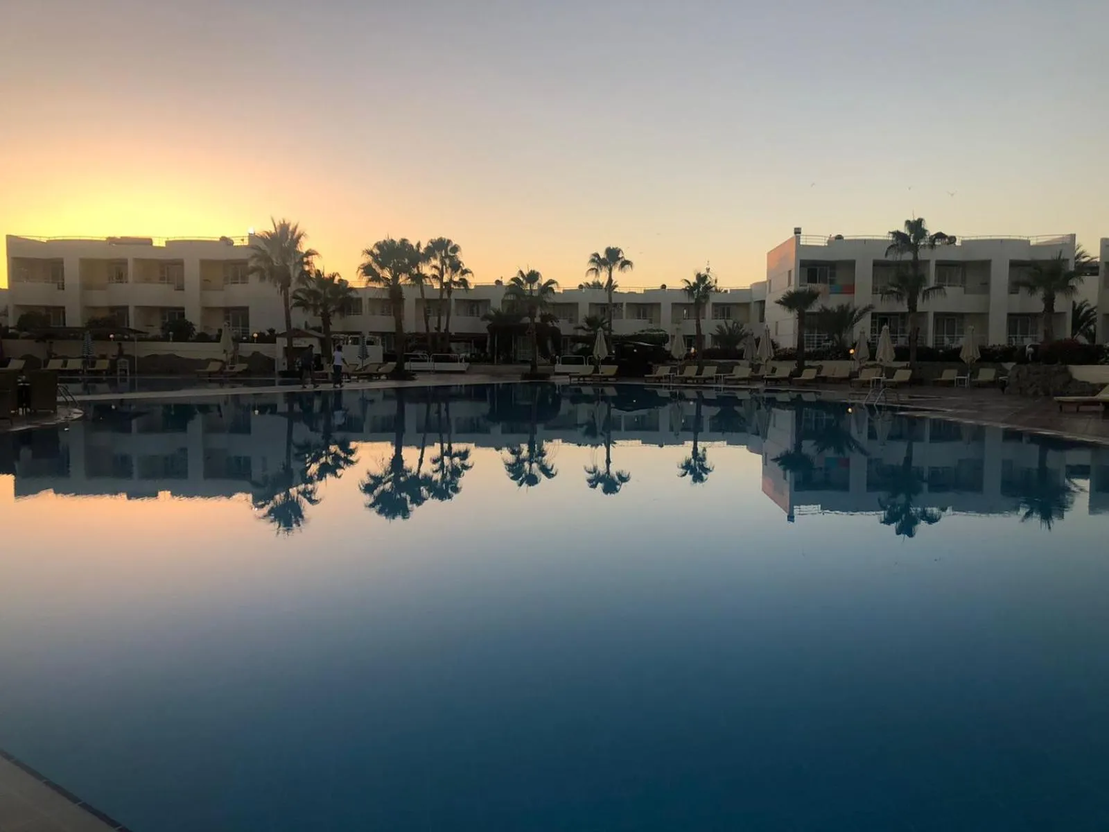 Swimming pool in Sharm Reef Hotel