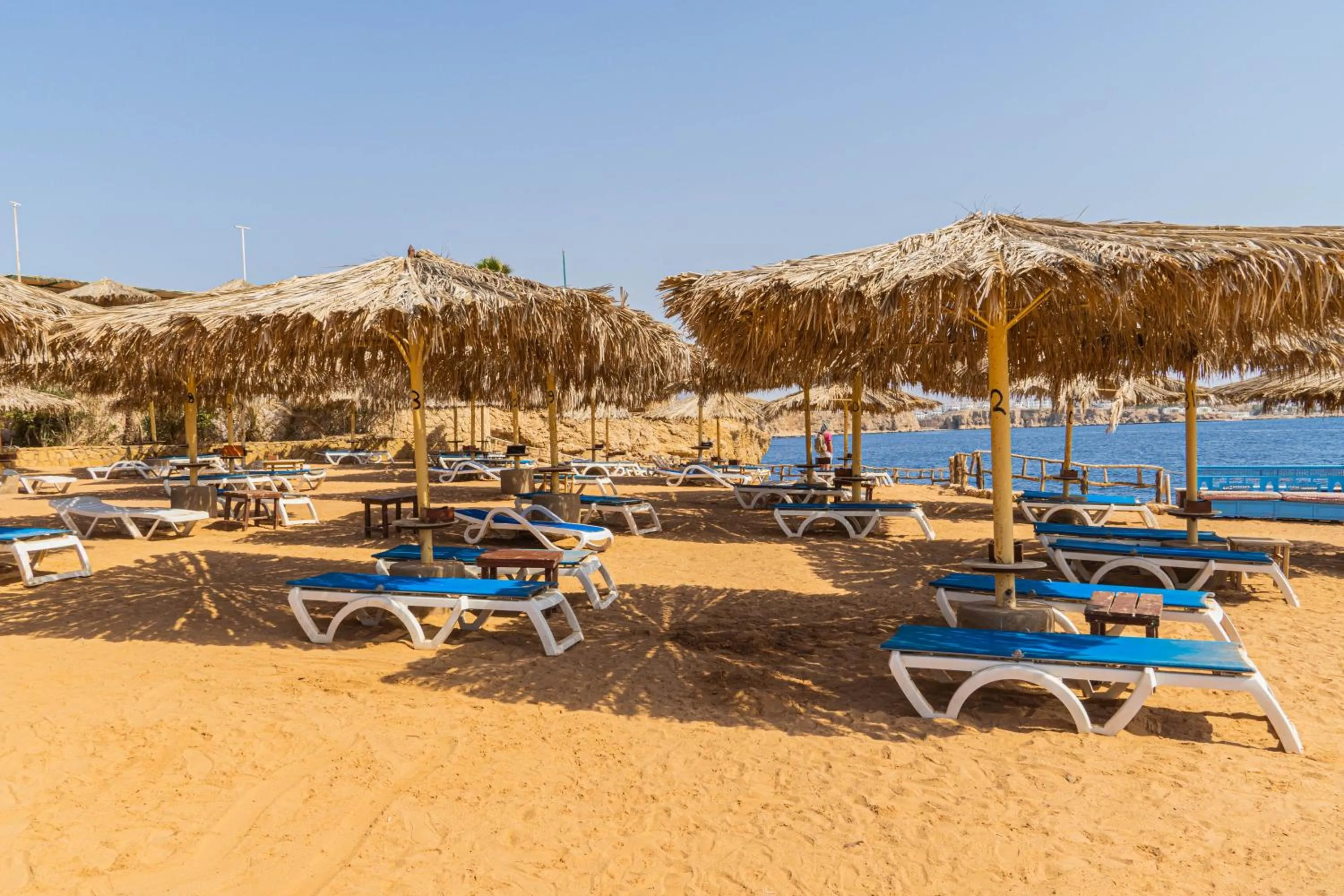 Beach in Sharm Reef Hotel