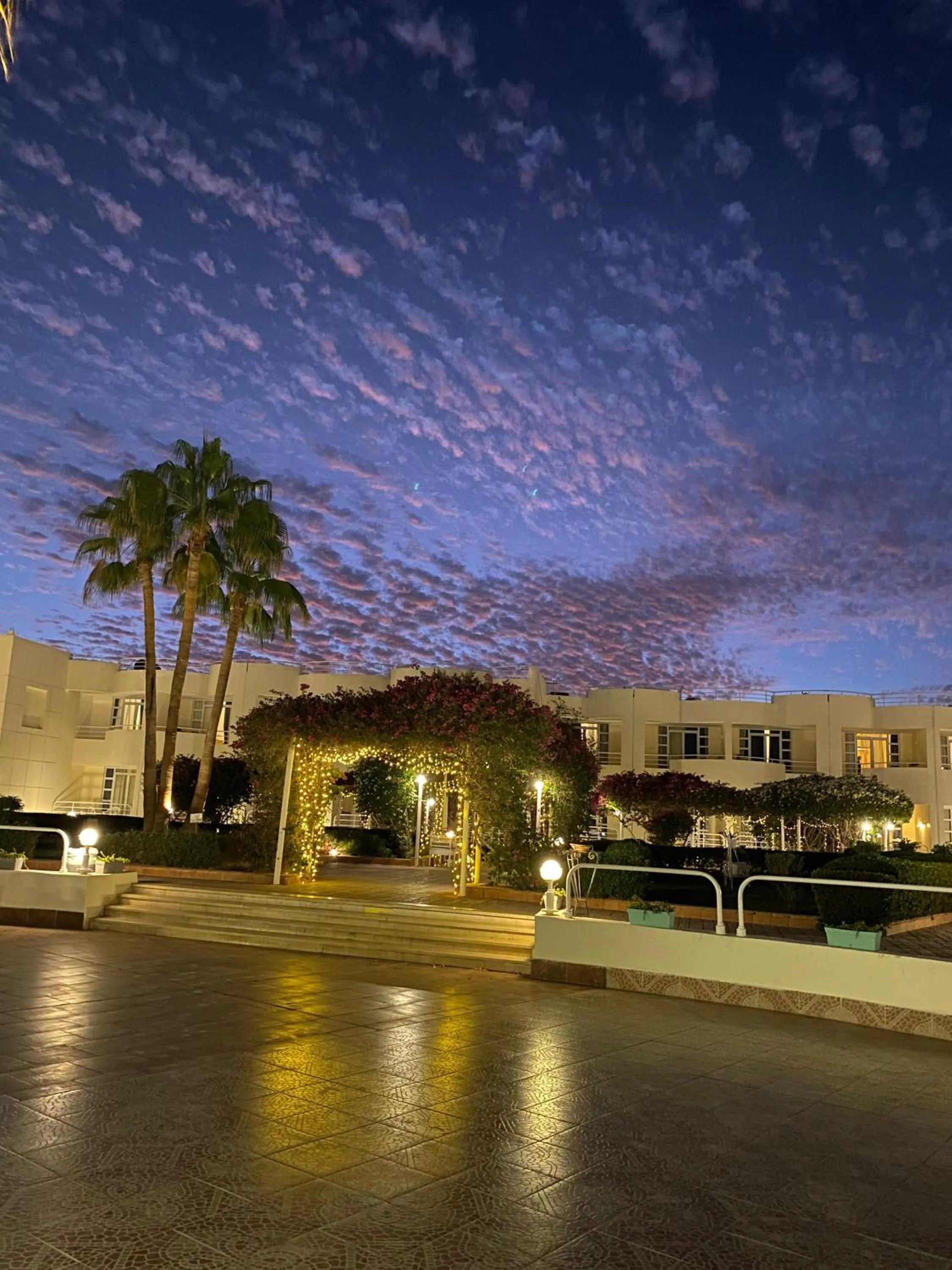 Night in Sharm Reef Hotel