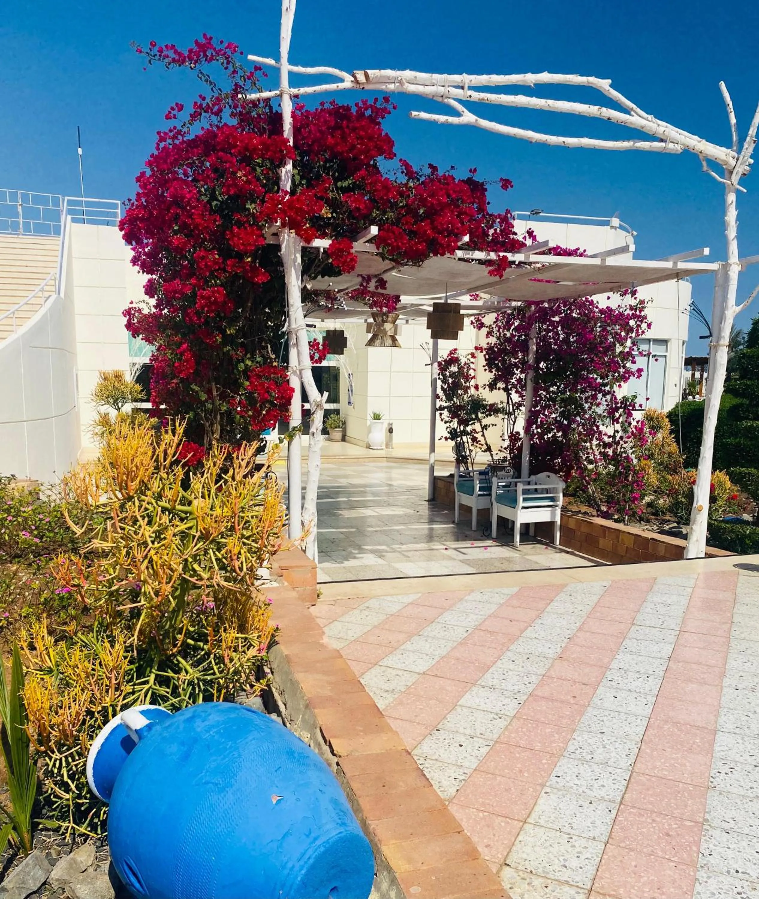 Restaurant/places to eat in Sharm Reef Hotel