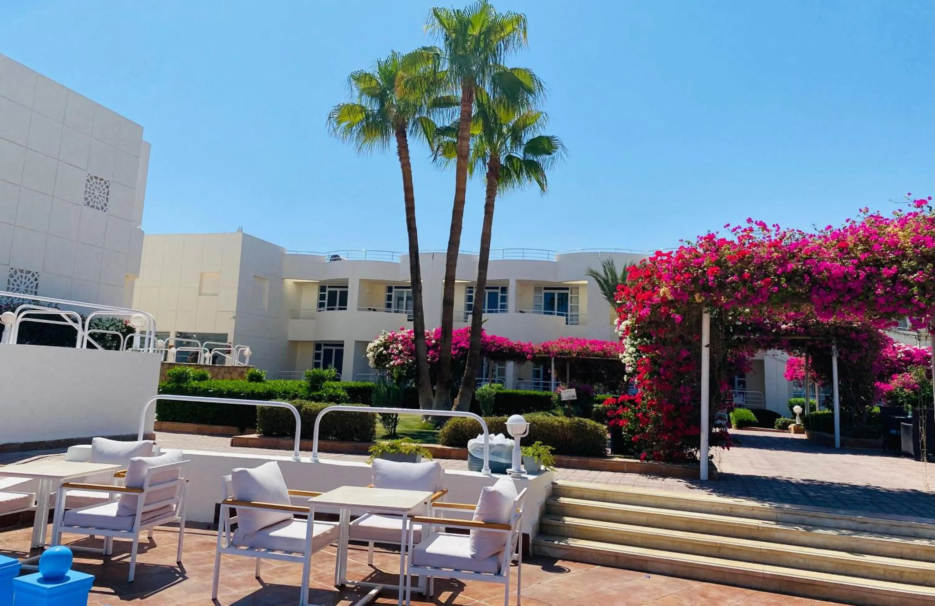 Swimming pool in Sharm Reef Hotel
