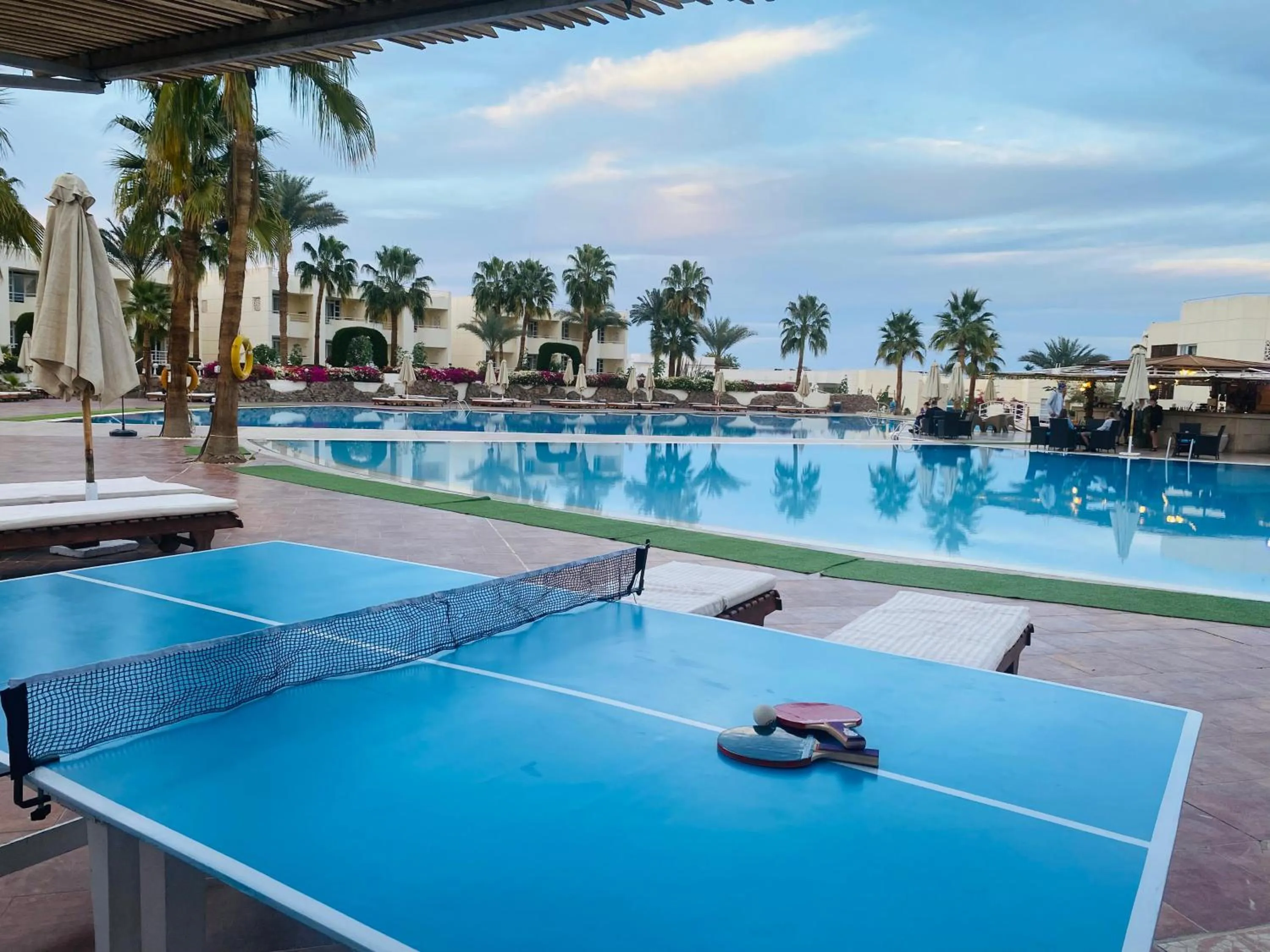 Swimming pool in Sharm Reef Hotel