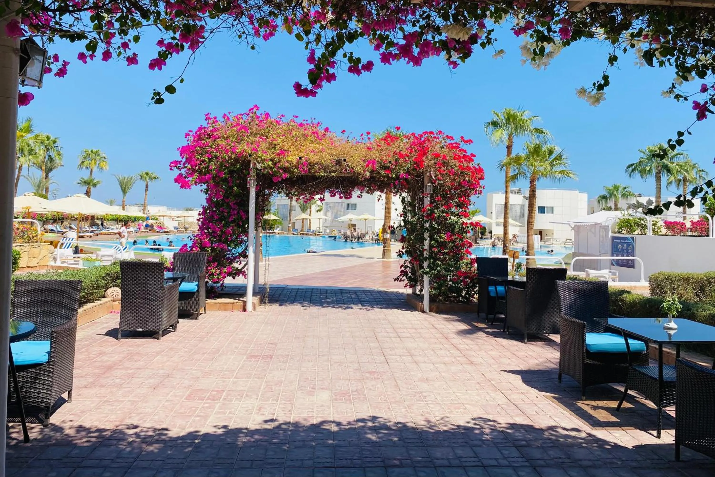 Swimming pool in Sharm Reef Hotel