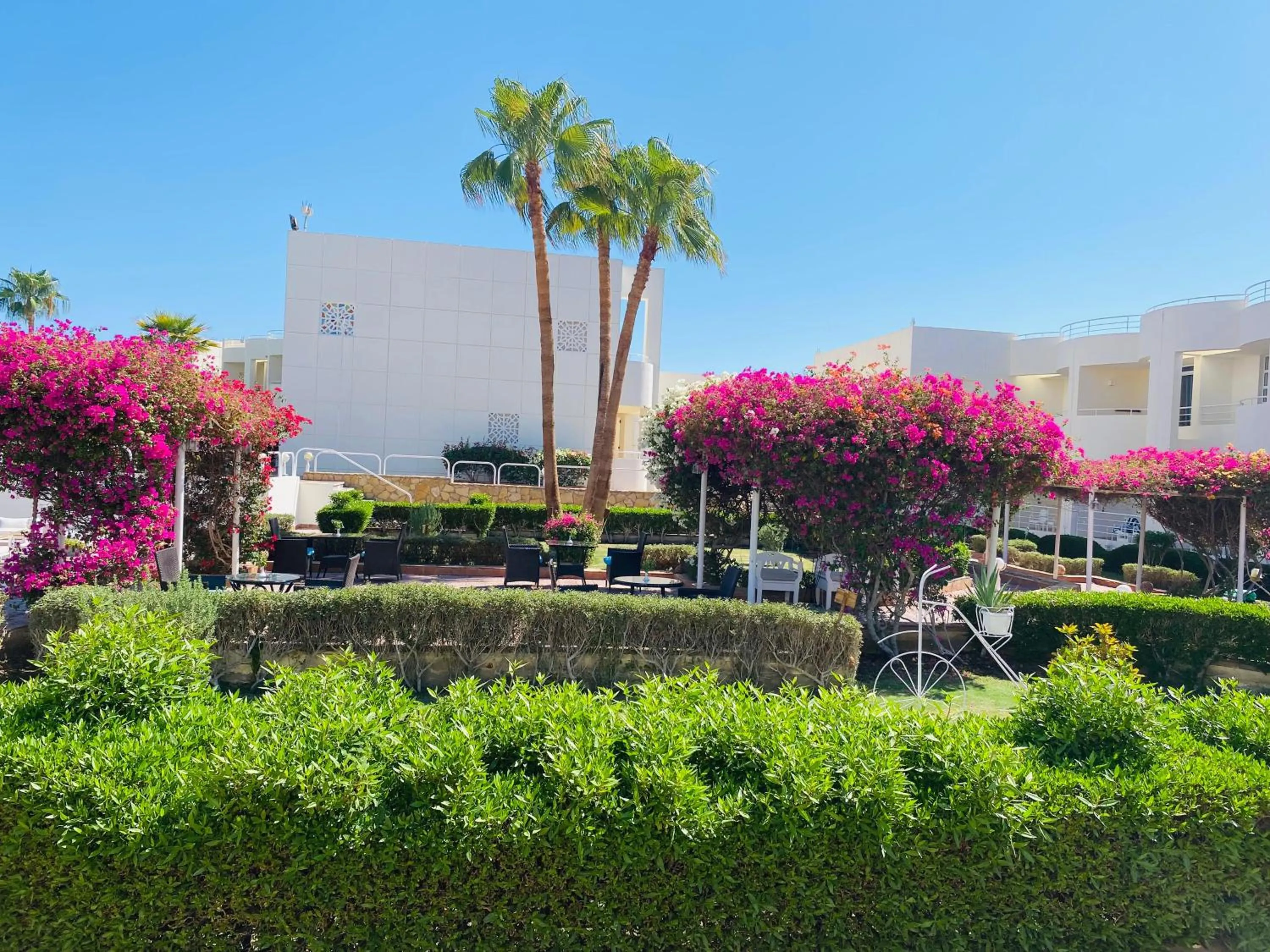 Property building in Sharm Reef Hotel