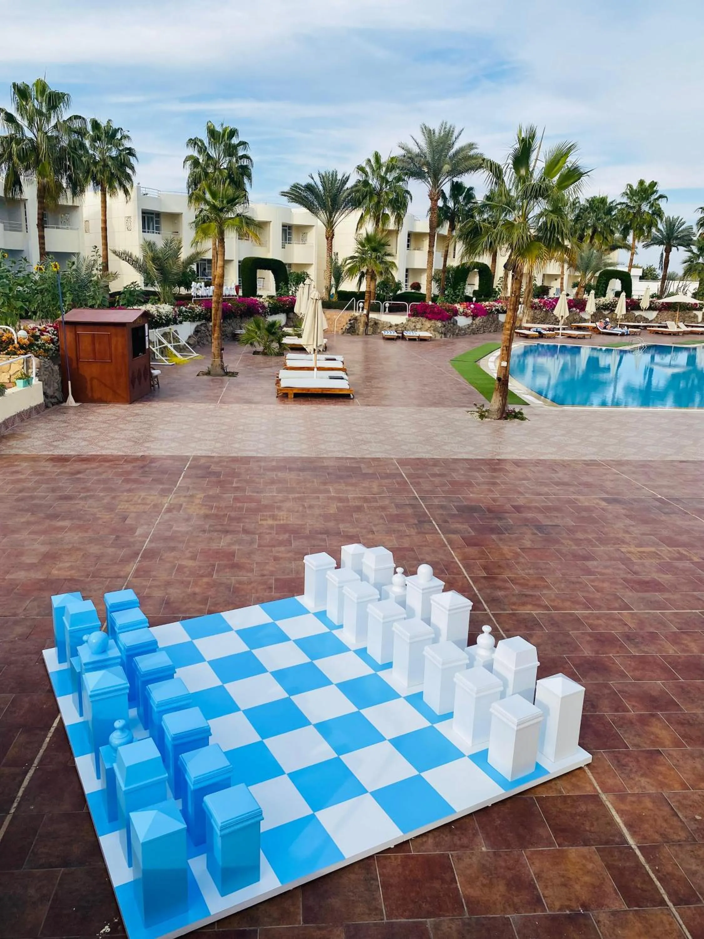 Day in Sharm Reef Hotel