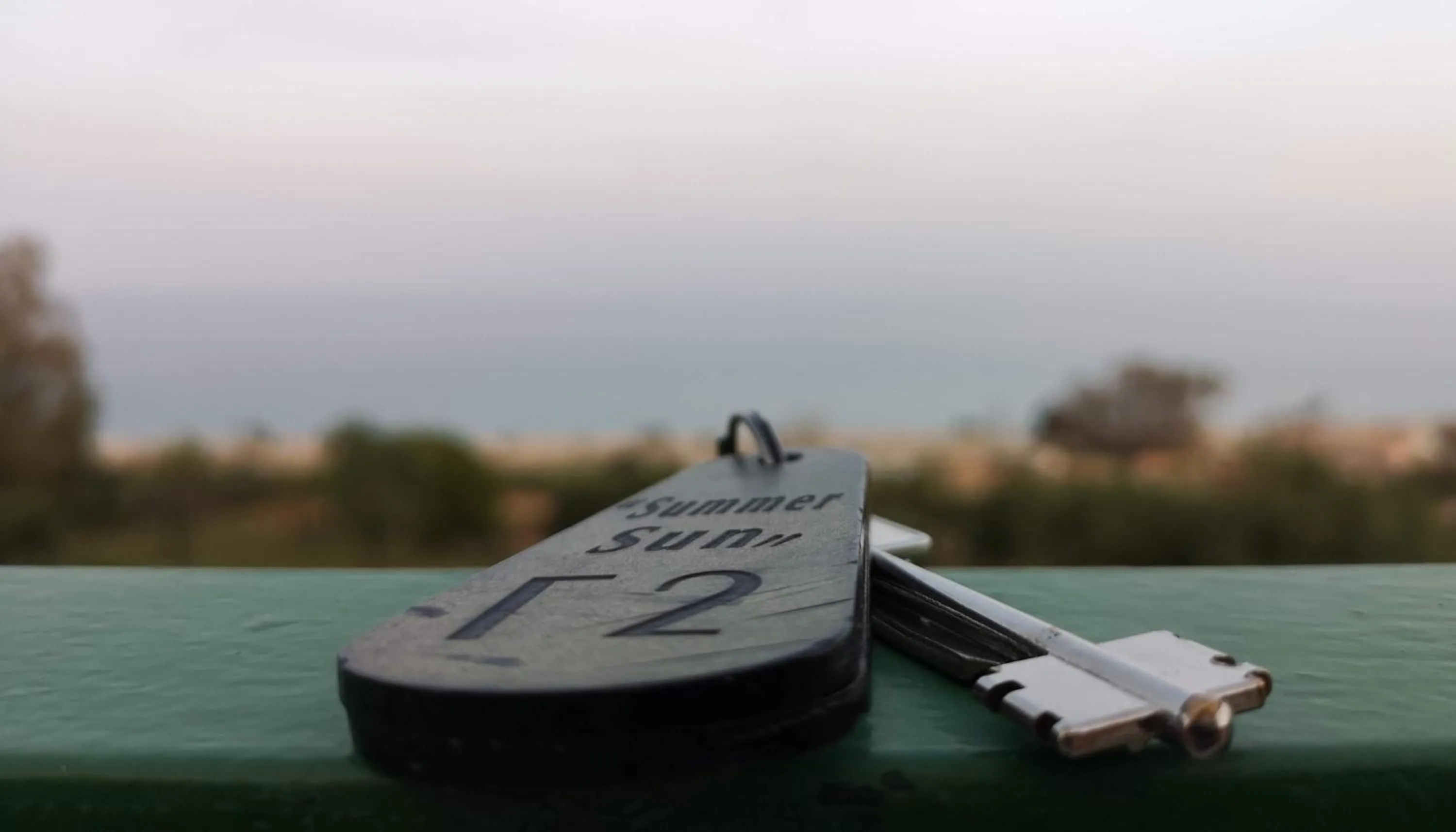 Decorative detail in Summer Sun