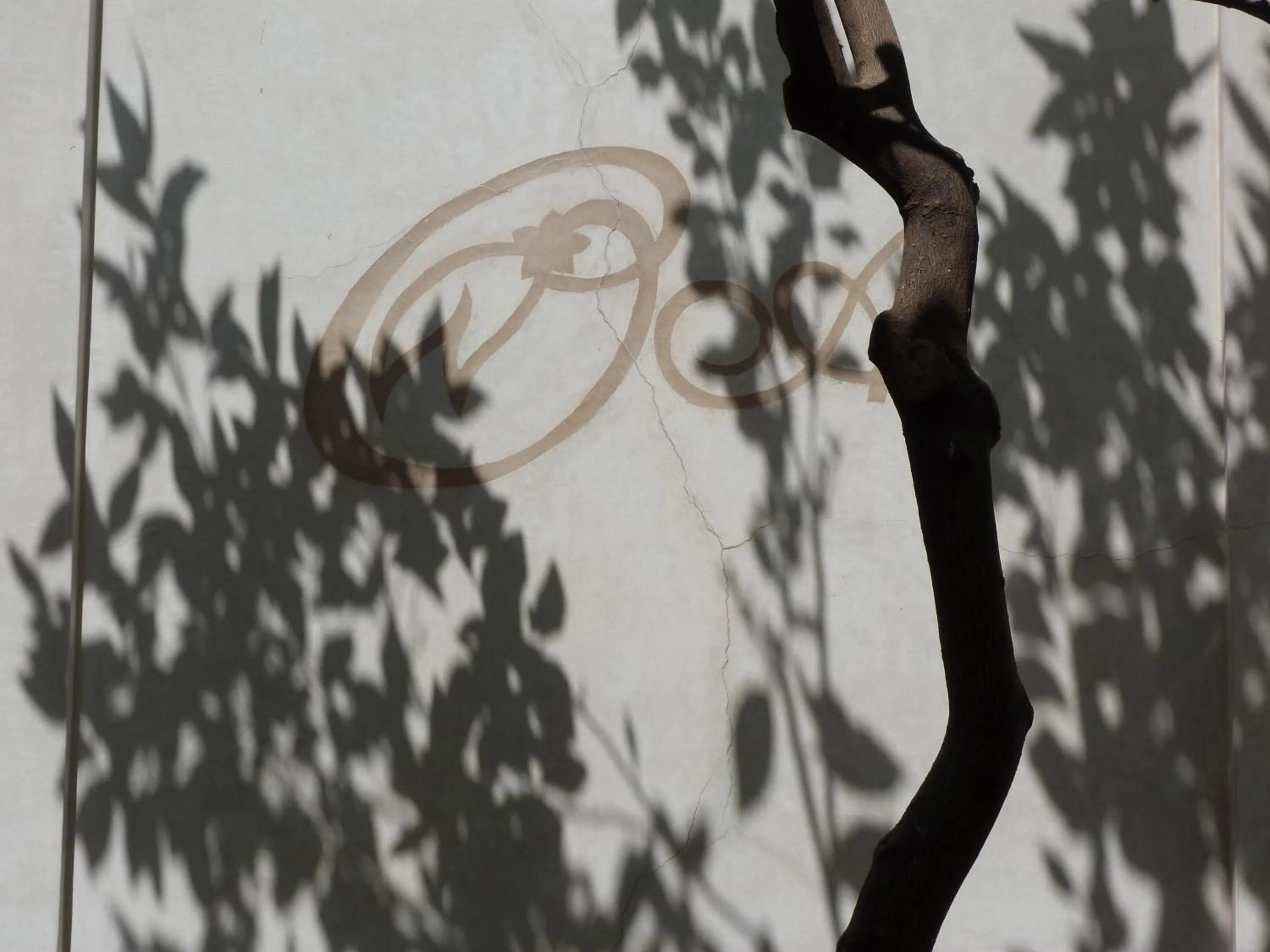 Patio in Riad Les Orangers D'alilia