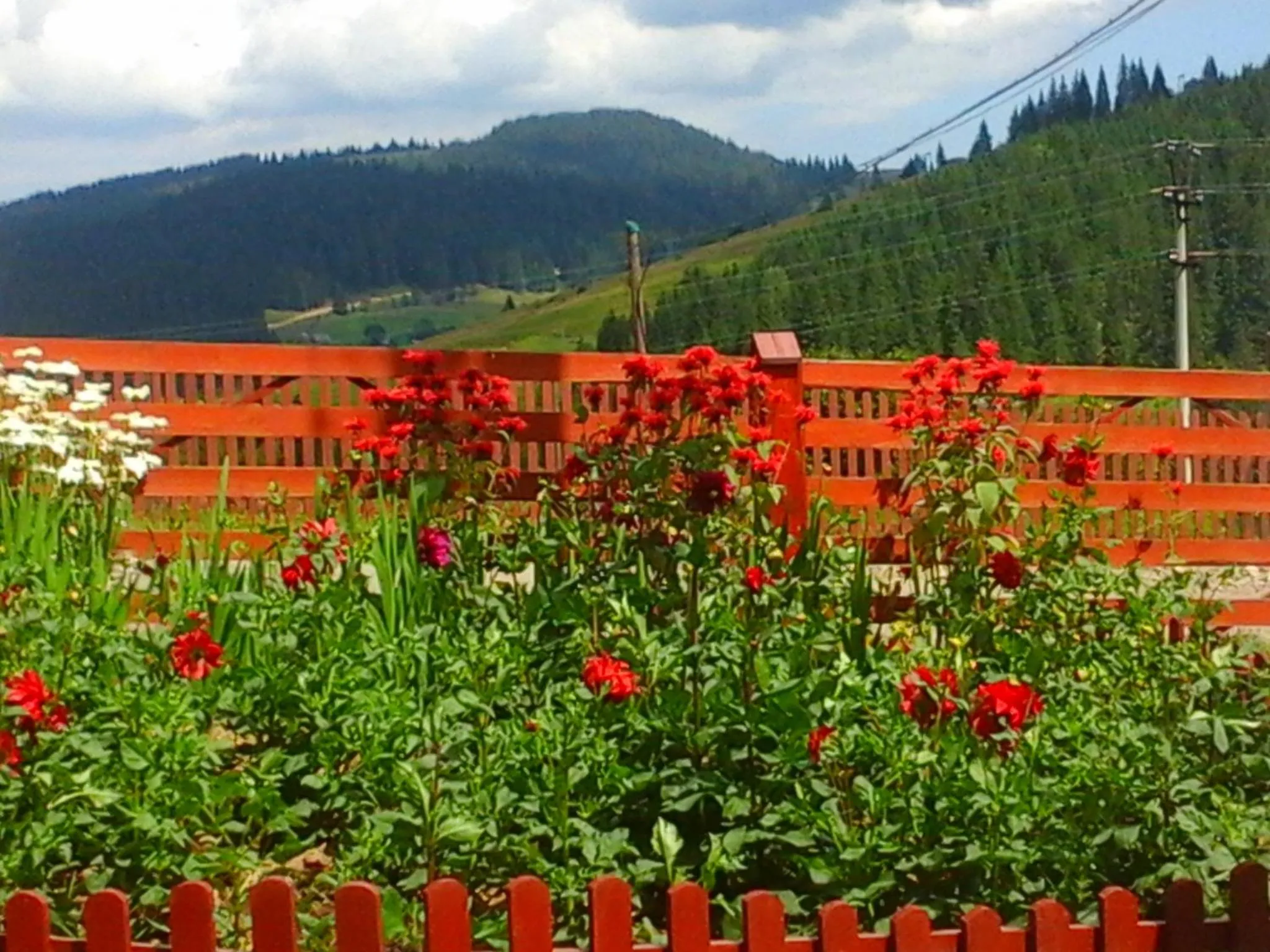 Romashka Guest House