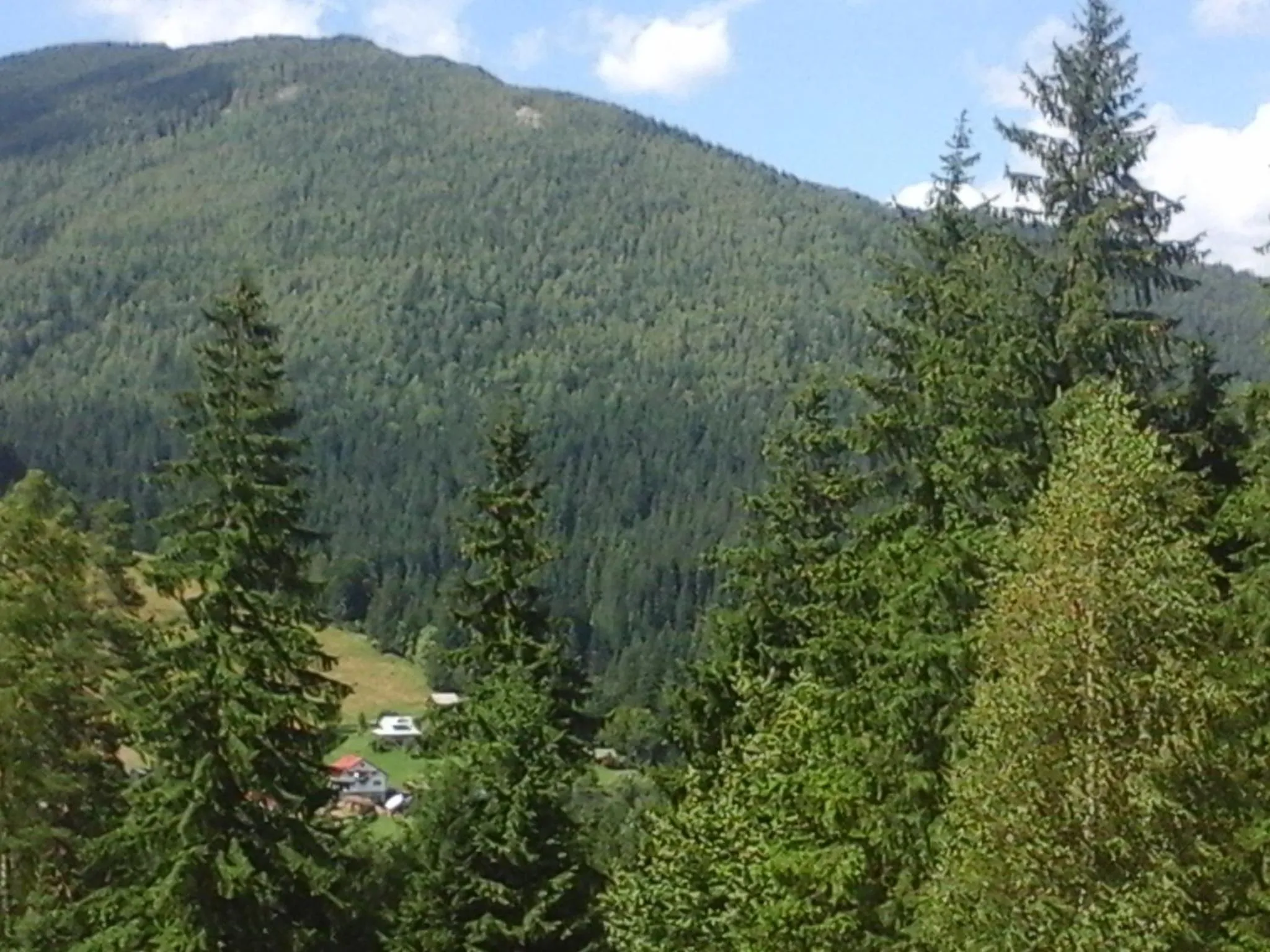 Romashka Guest House