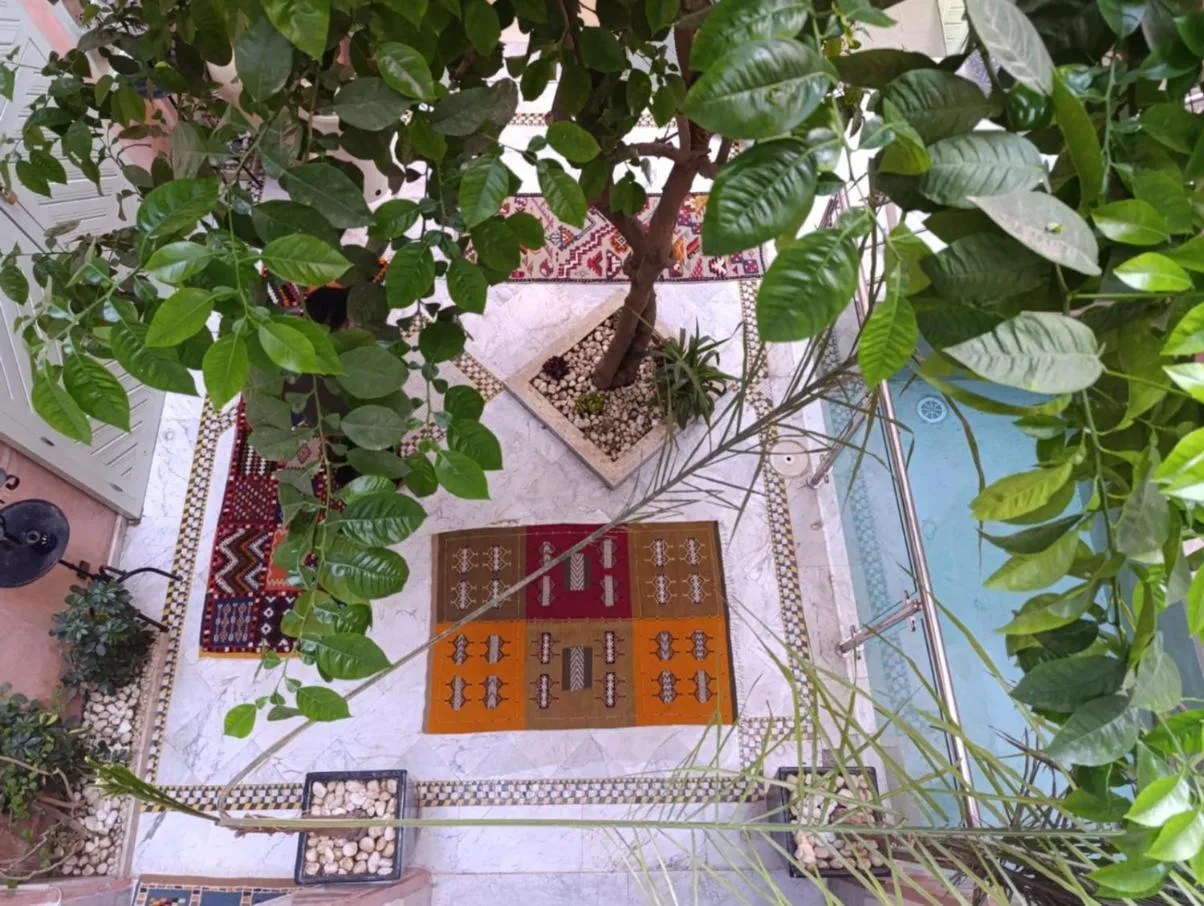 Garden view in Riad Moullaoud