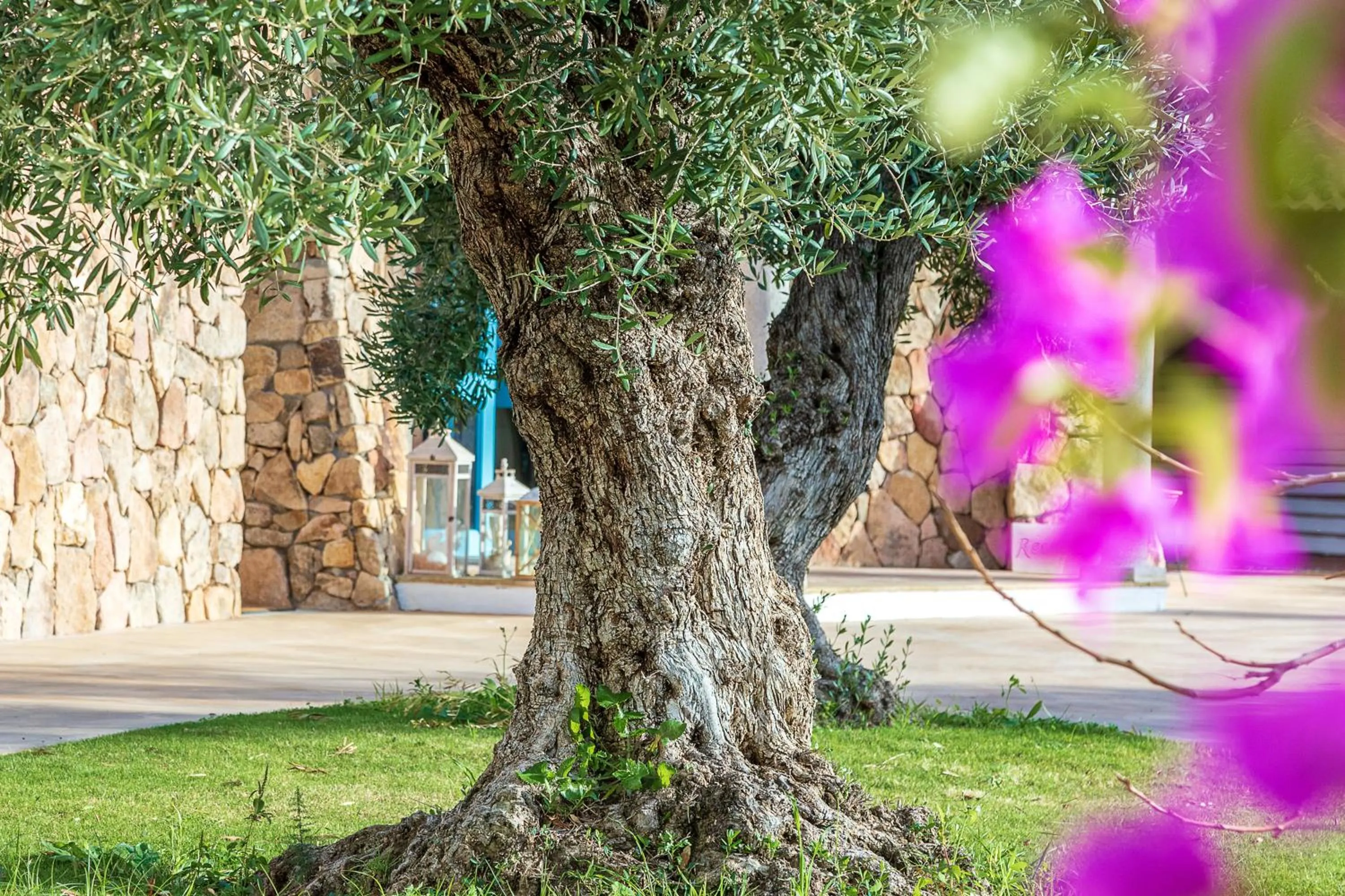 Garden in Corte Bianca - Adults Only & SPA - Bovis Hotels