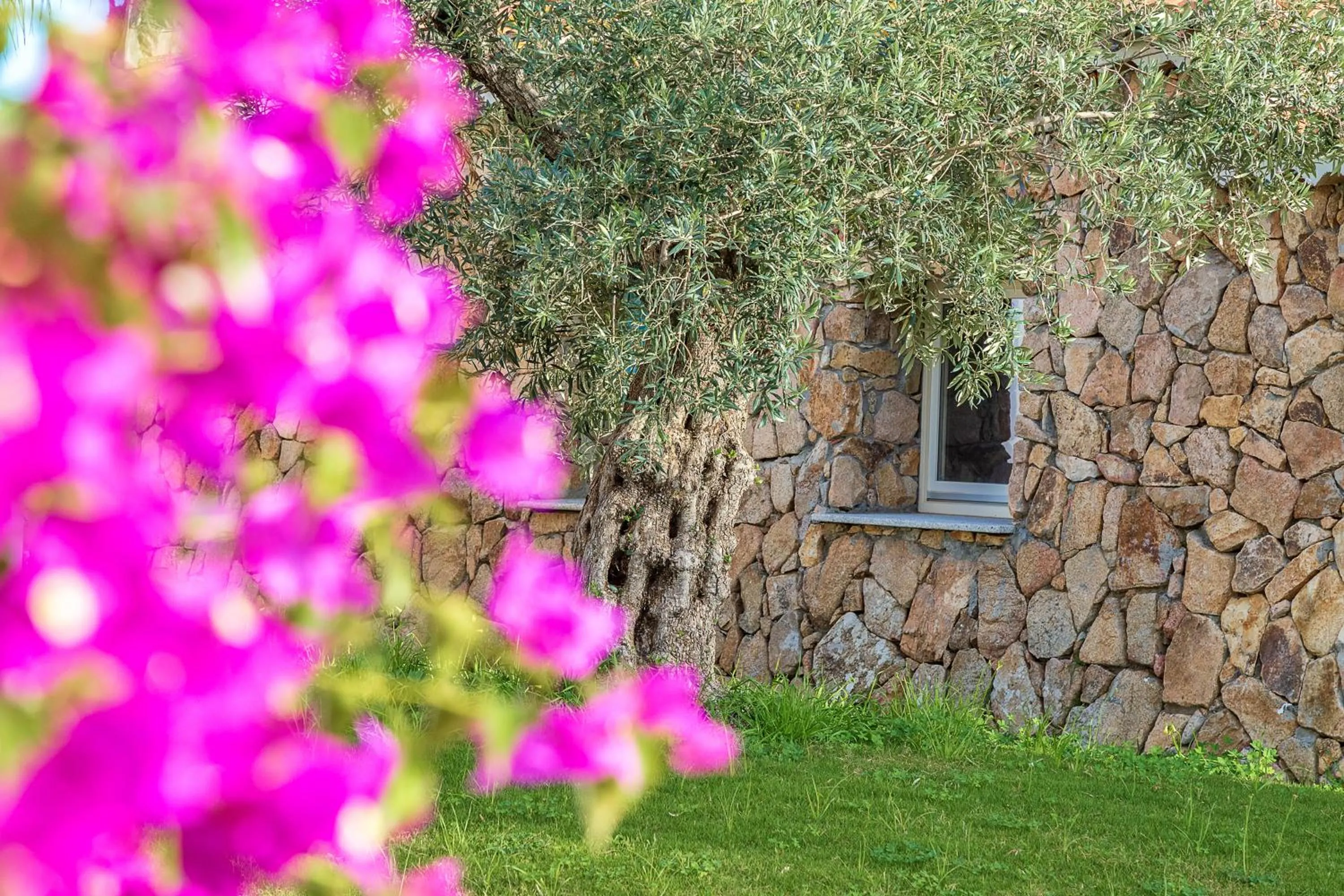 Garden in Corte Bianca - Adults Only & SPA - Bovis Hotels