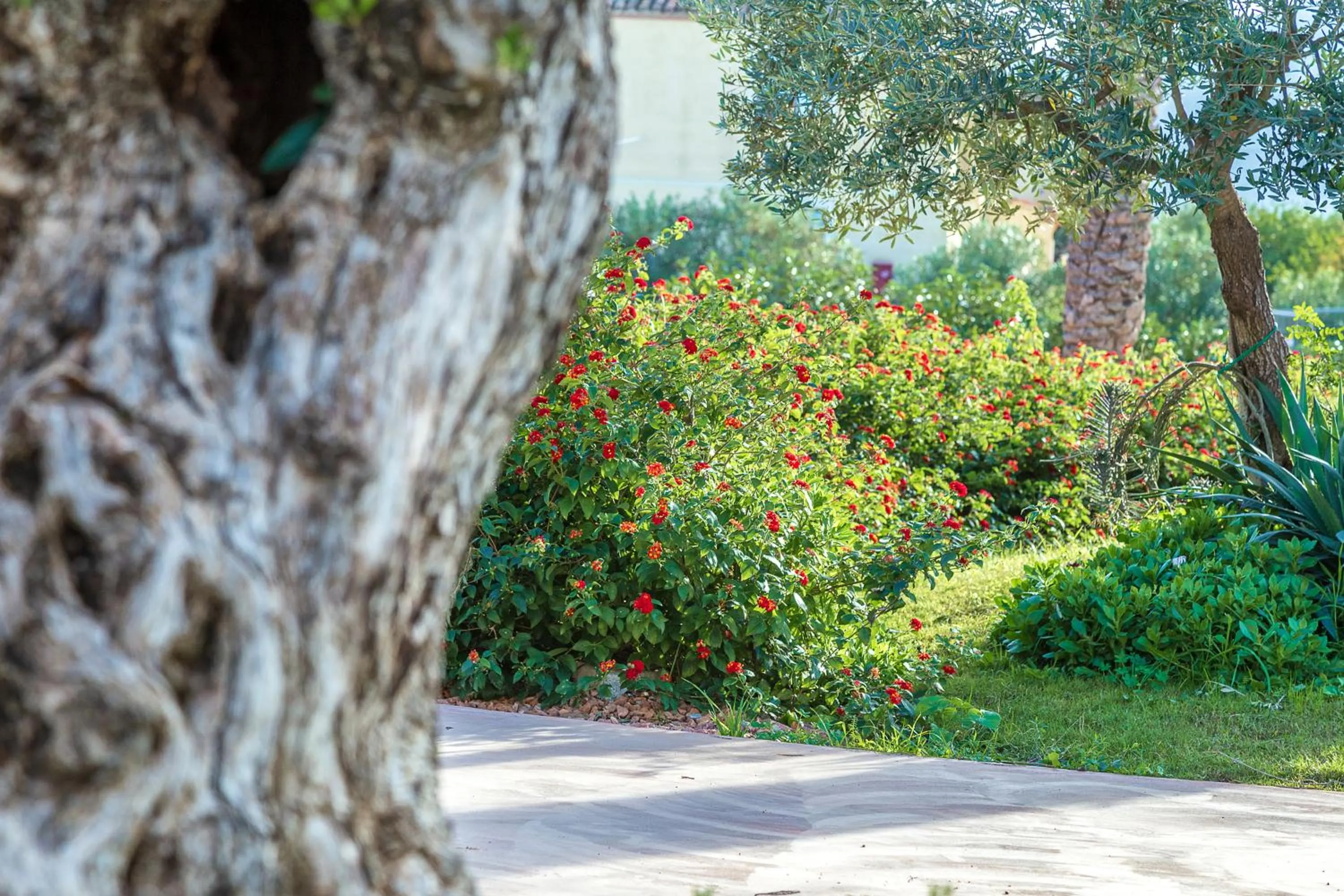 Garden in Corte Bianca - Adults Only & SPA - Bovis Hotels