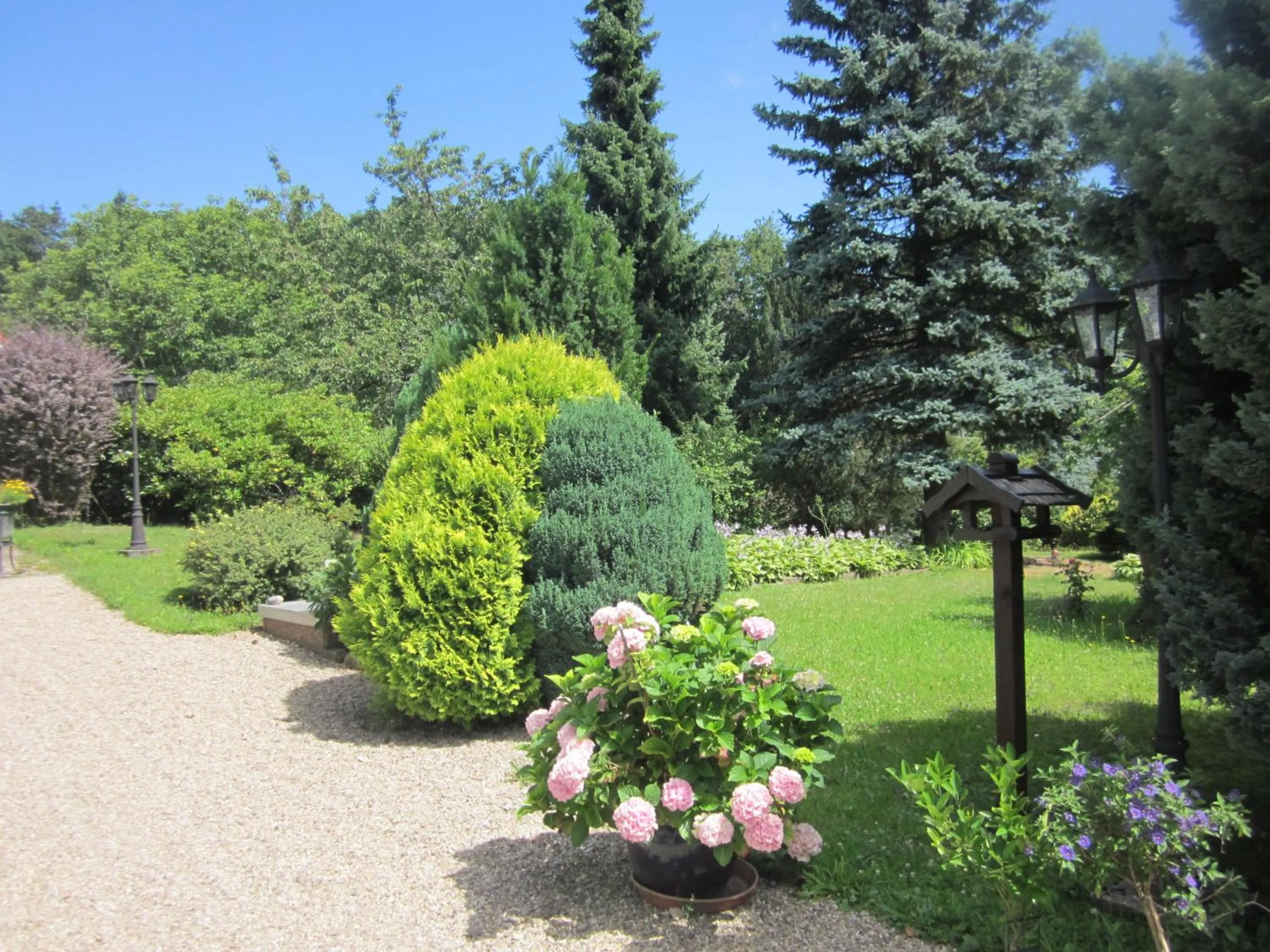 Garden in Hotel Wolfsschlucht