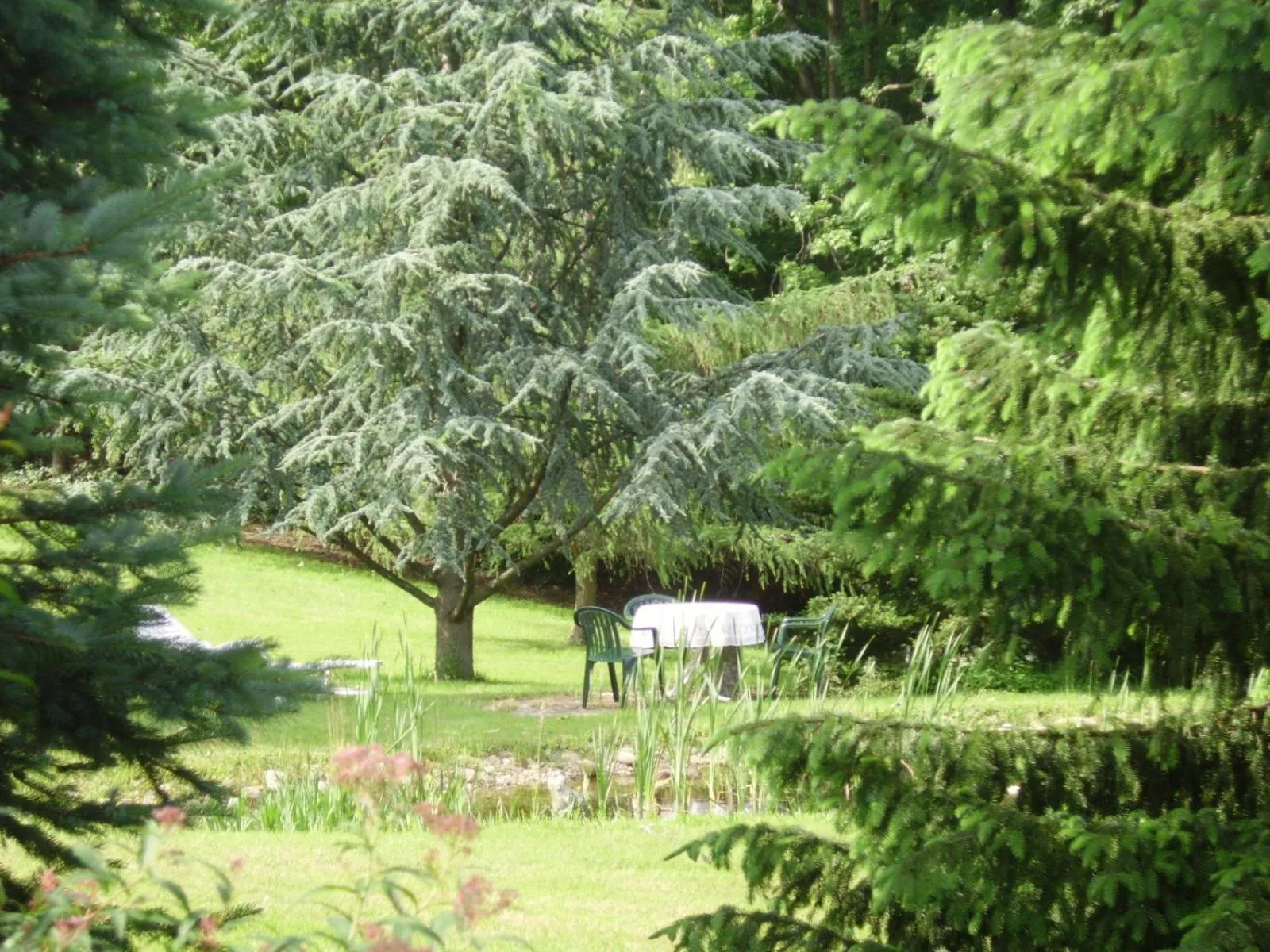 Natural landscape in Hotel Wolfsschlucht