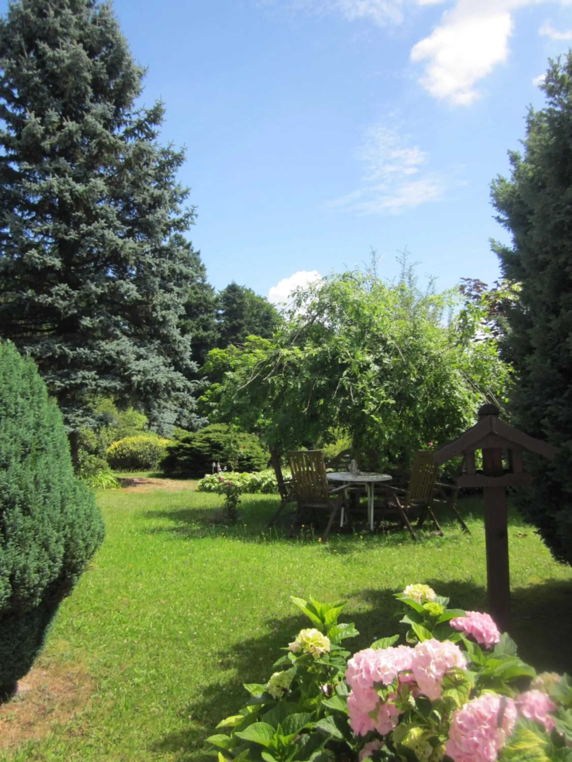 Garden in Hotel Wolfsschlucht