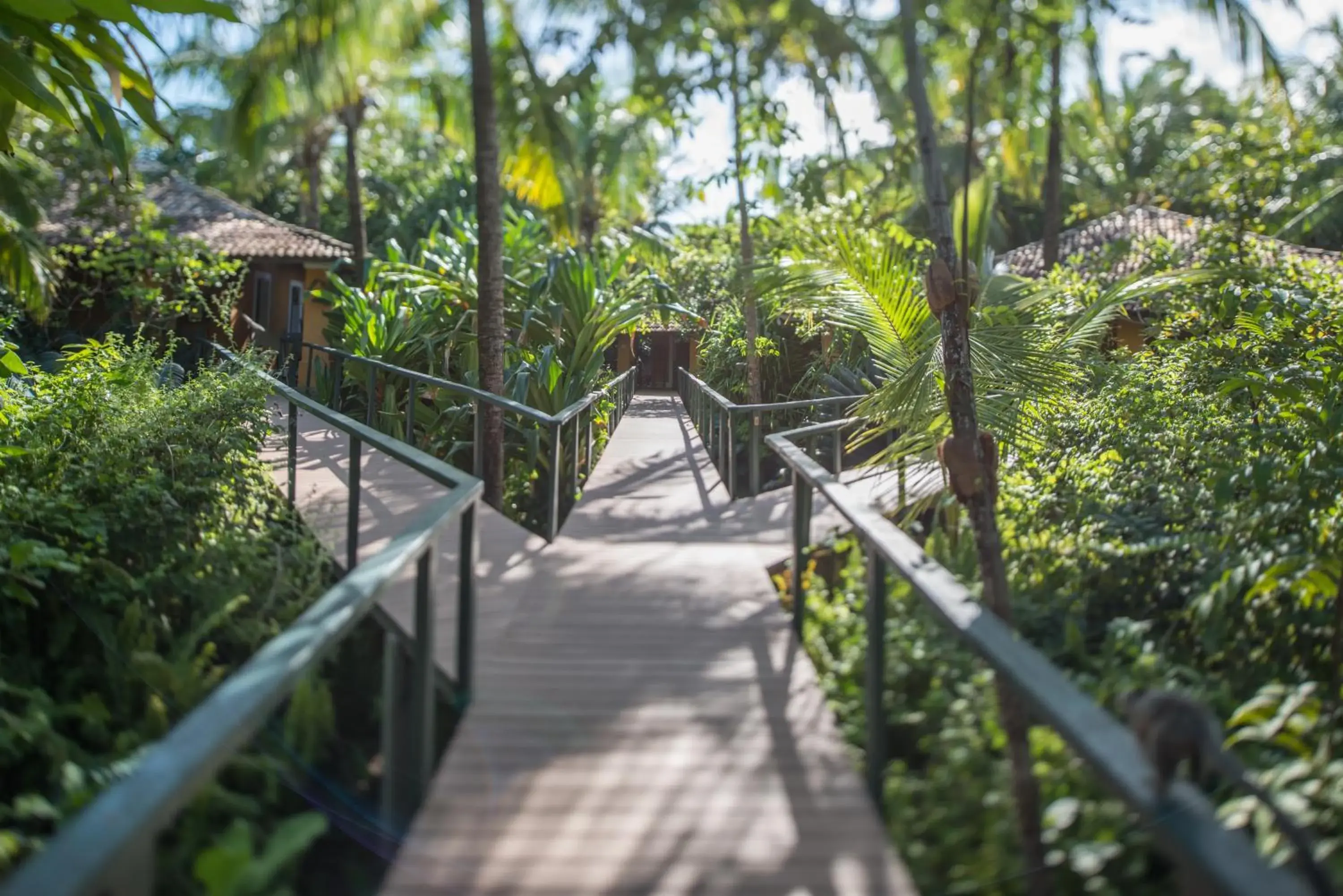 Garden view in Toca da Coruja Garden view in Toca da Coruja