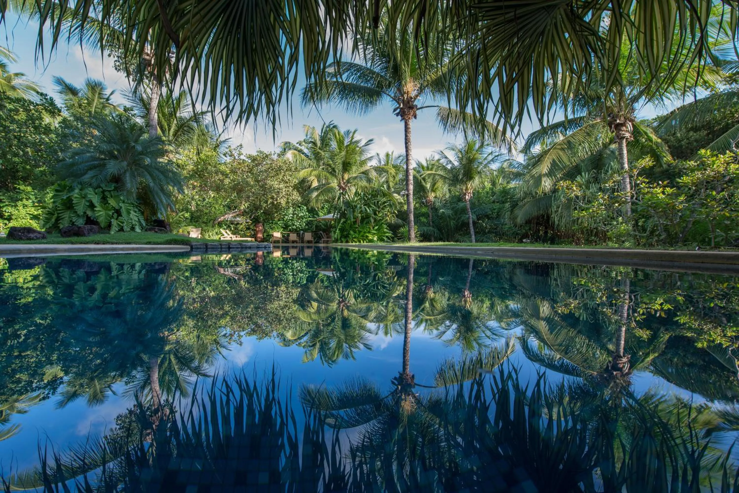 Pool view in Toca da Coruja