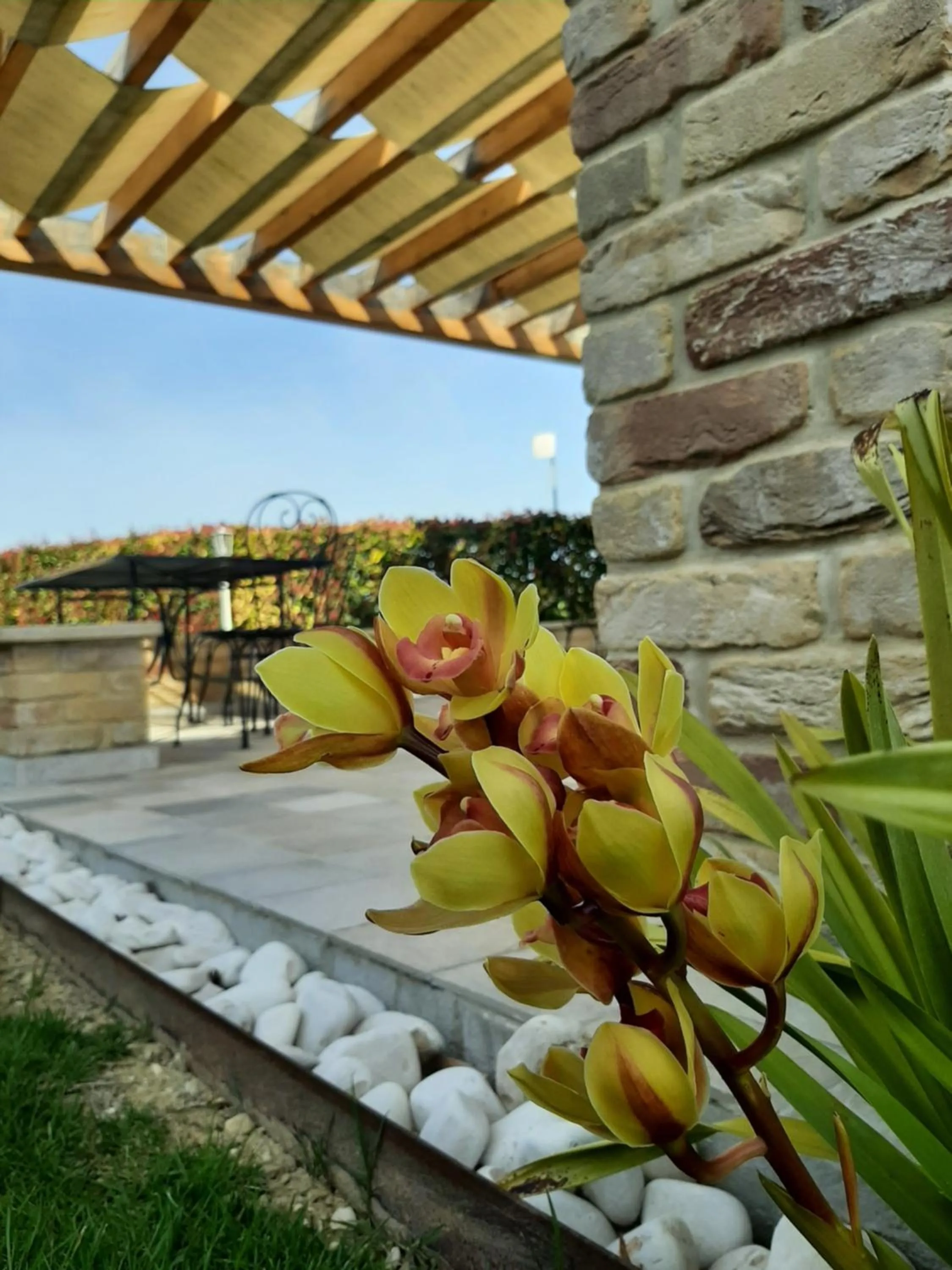 B&B CasalFarano