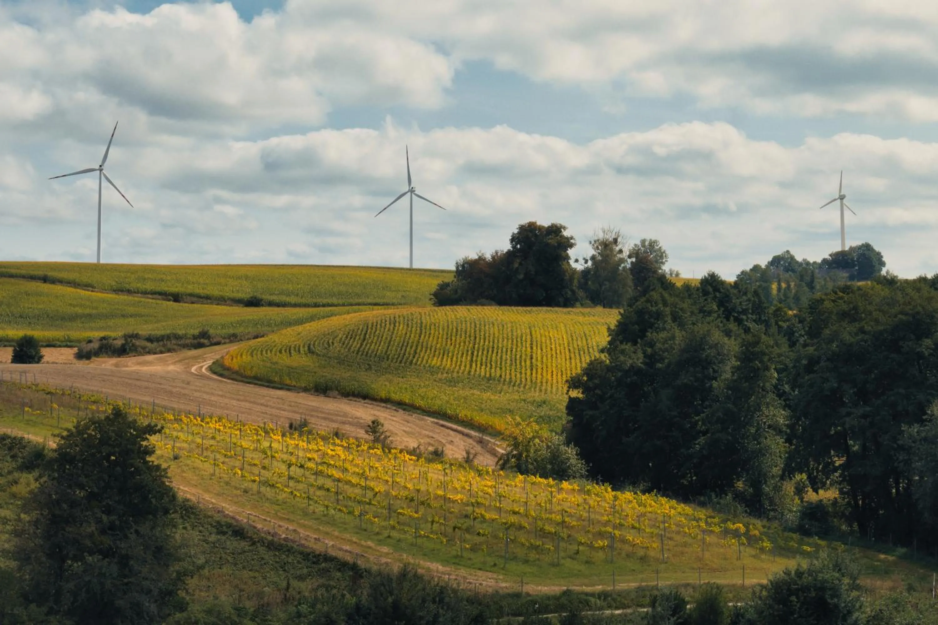 Port Rybaki & Vine Agritourism