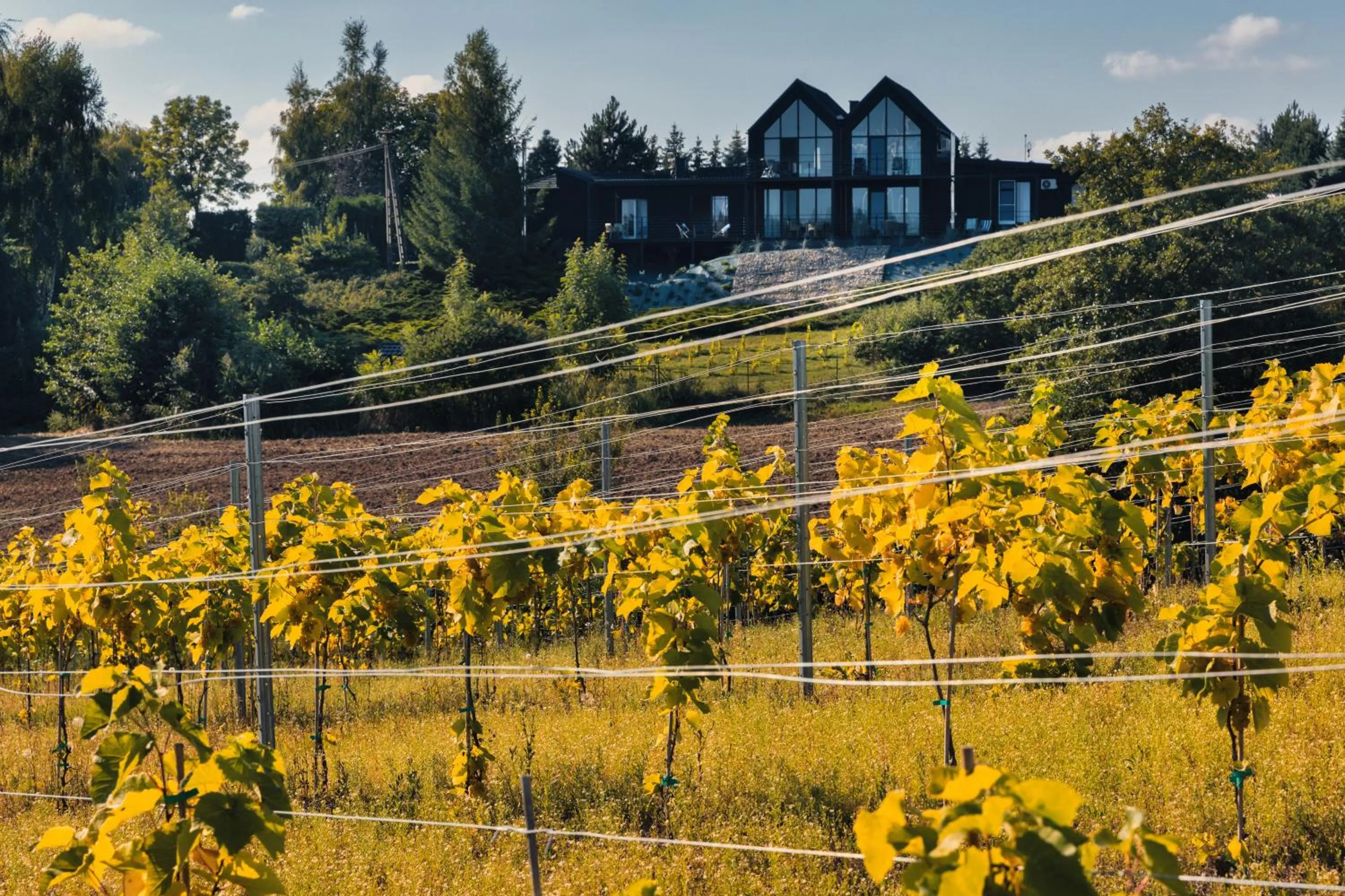 Port Rybaki & Vine Agritourism