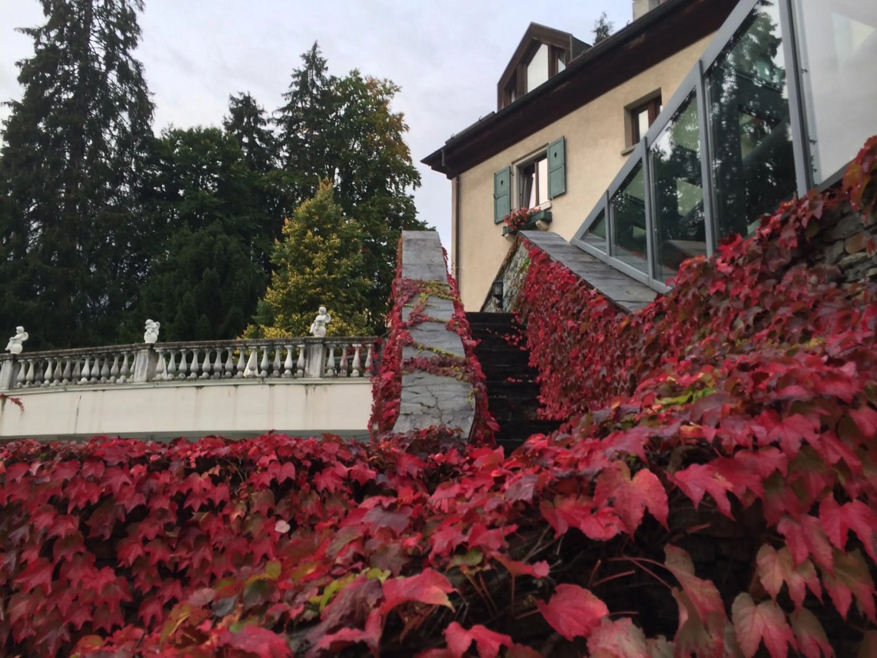 Garden in Hotel Cresta