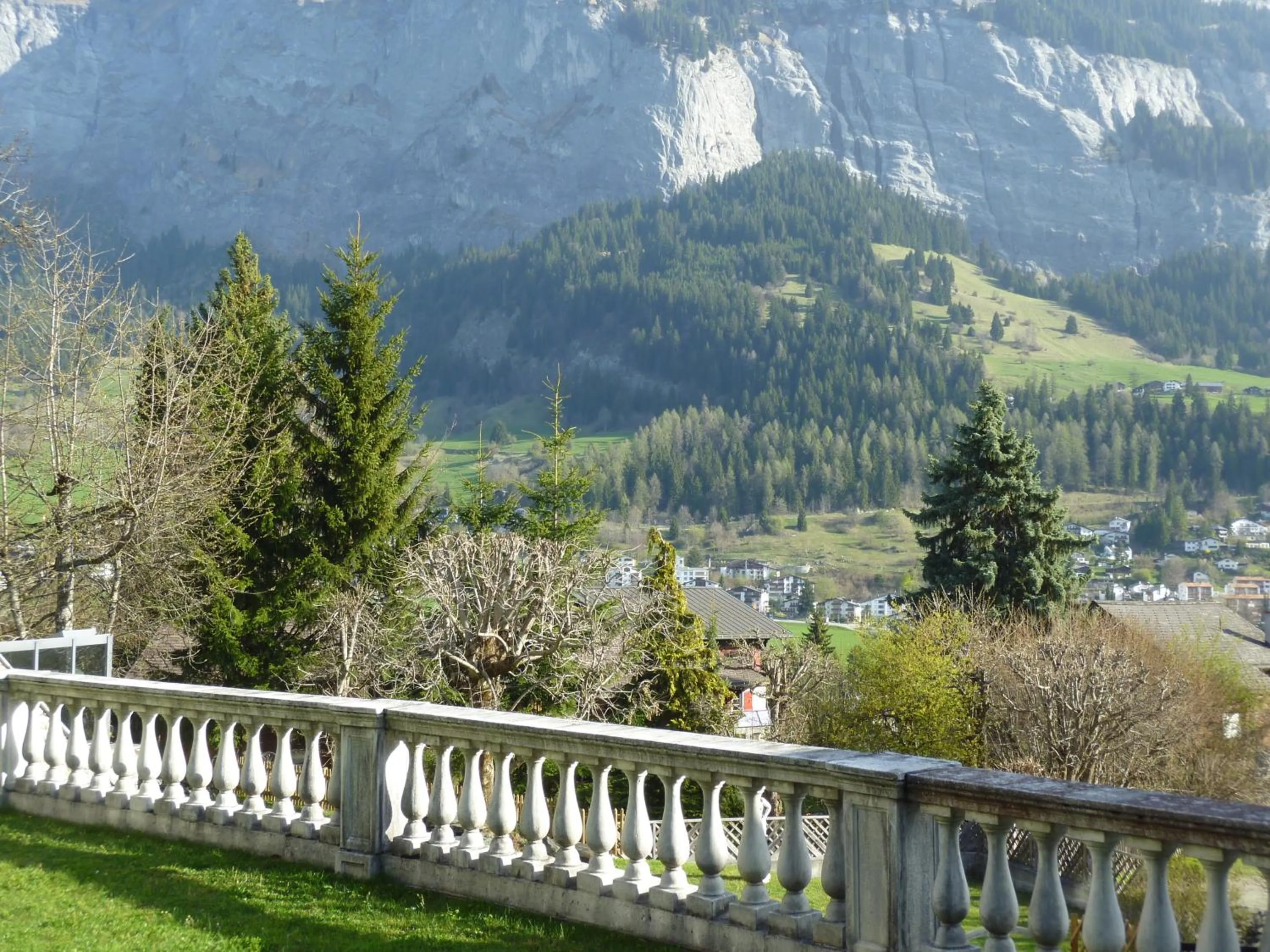 Garden in Hotel Cresta