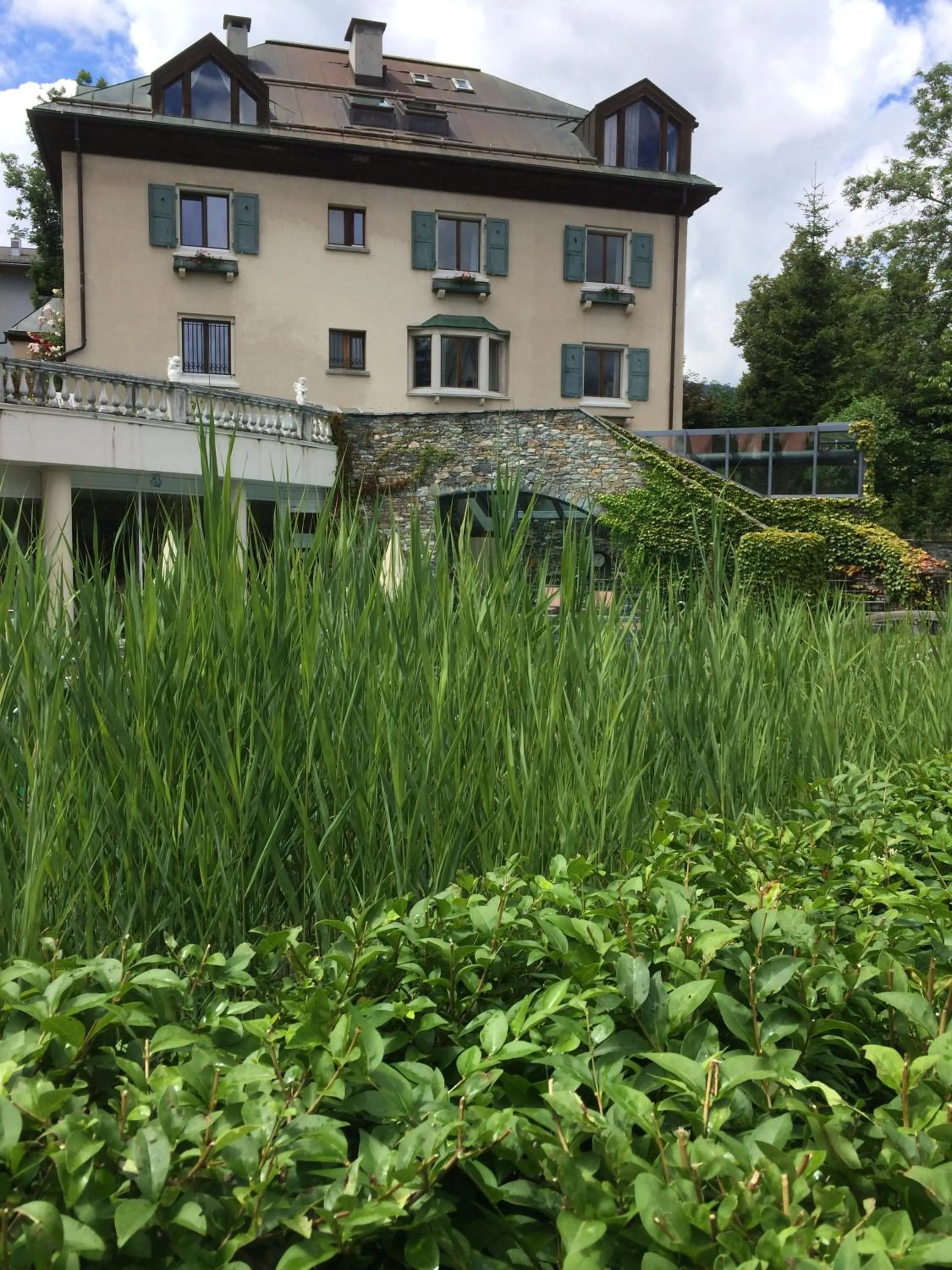 Garden in Hotel Cresta