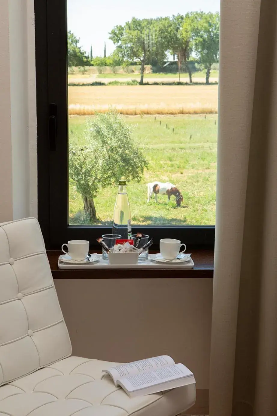 Garden view in Giotto Country House & Spa Garden view in Giotto Country House & Spa